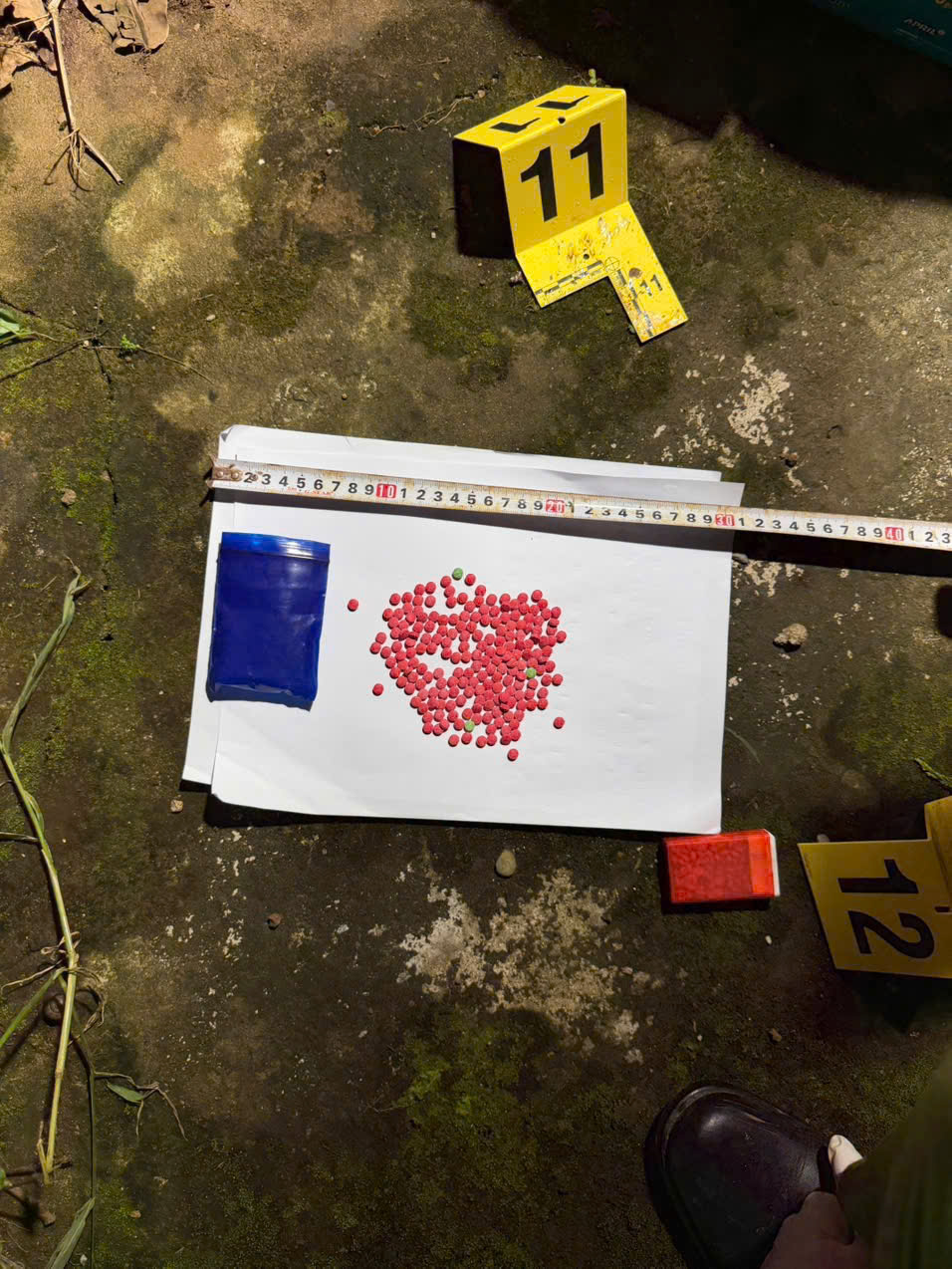 Cảnh báo hiểm họa ma túy ngày càng trẻ hóa- Ảnh 2.