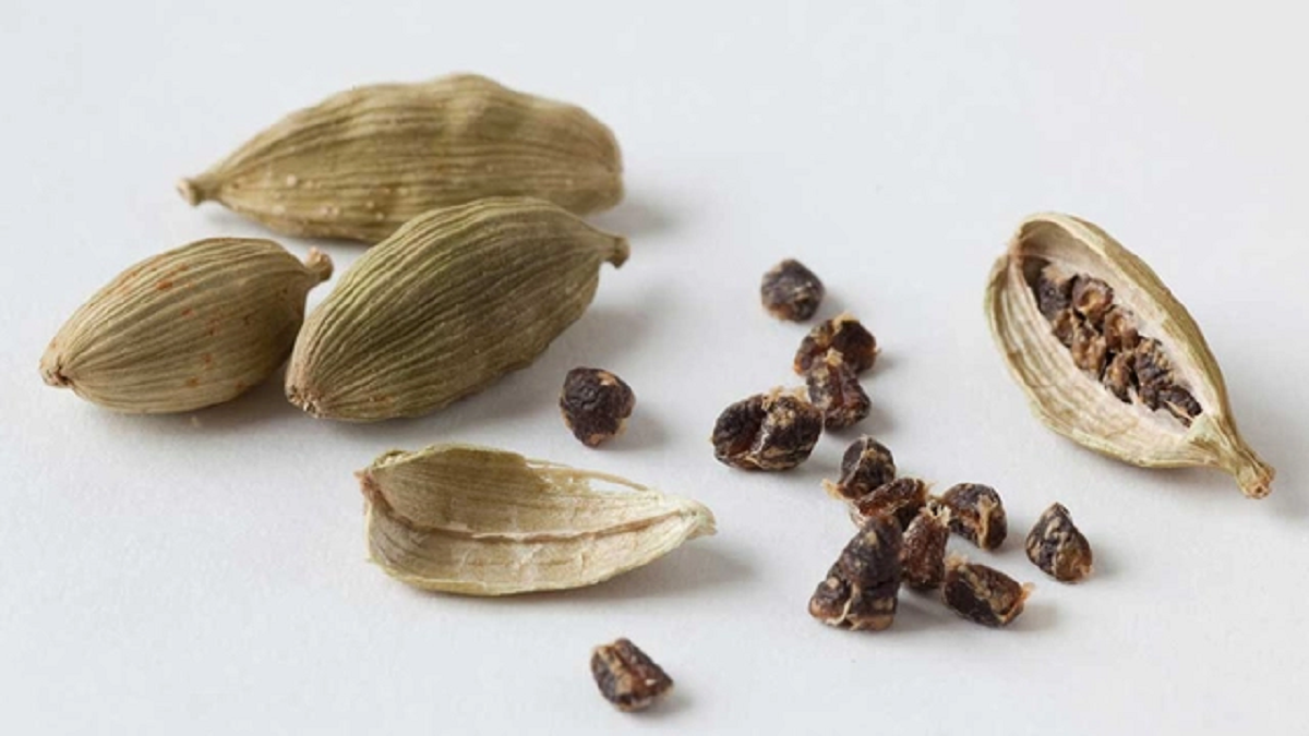 Loại hạt đắt đỏ bậc nhất thế giới, 2 triệu đồng/kg chỉ hơn 10 nước trồng được, ở Việt Nam cũng có- Ảnh 3.