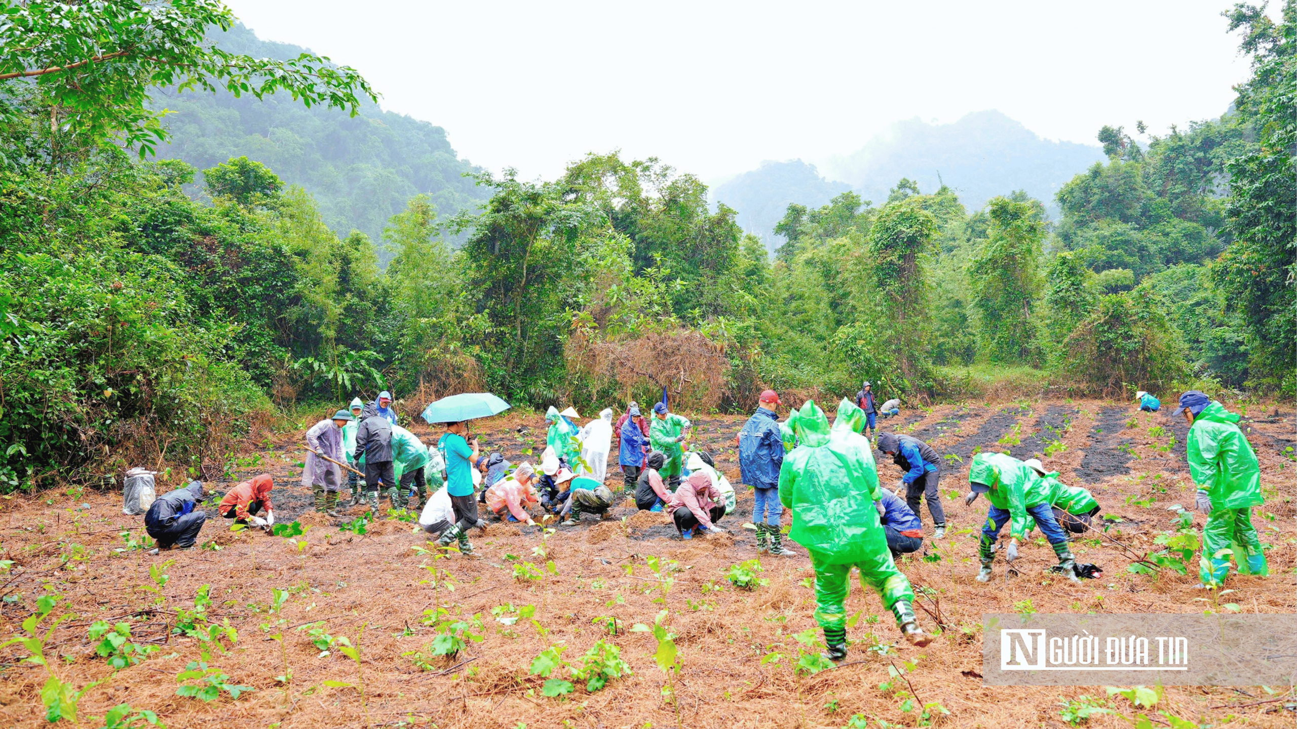 Chuyện ít biết về những người giữ rừng, lan tỏa hành đồng cộng đồng với thiên nhiên- Ảnh 5. Chuyện ít biết về những người giữ rừng, lan tỏa hành đồng cộng đồng với thiên nhiên- Ảnh 5.