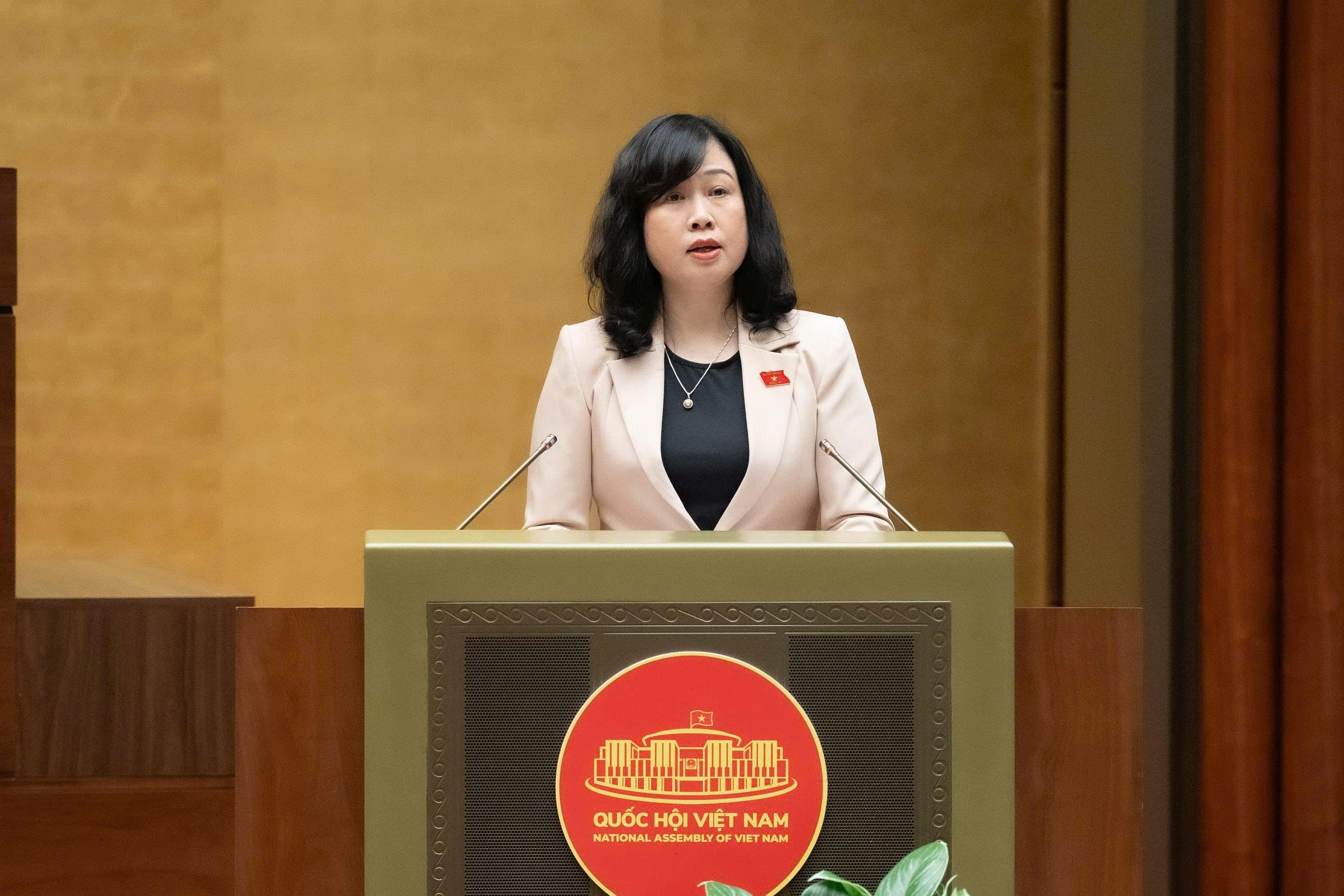 Trình Quốc hội chi hơn 125.000 tỷ đồng để nâng cao sức khỏe nhân dân- Ảnh 1.