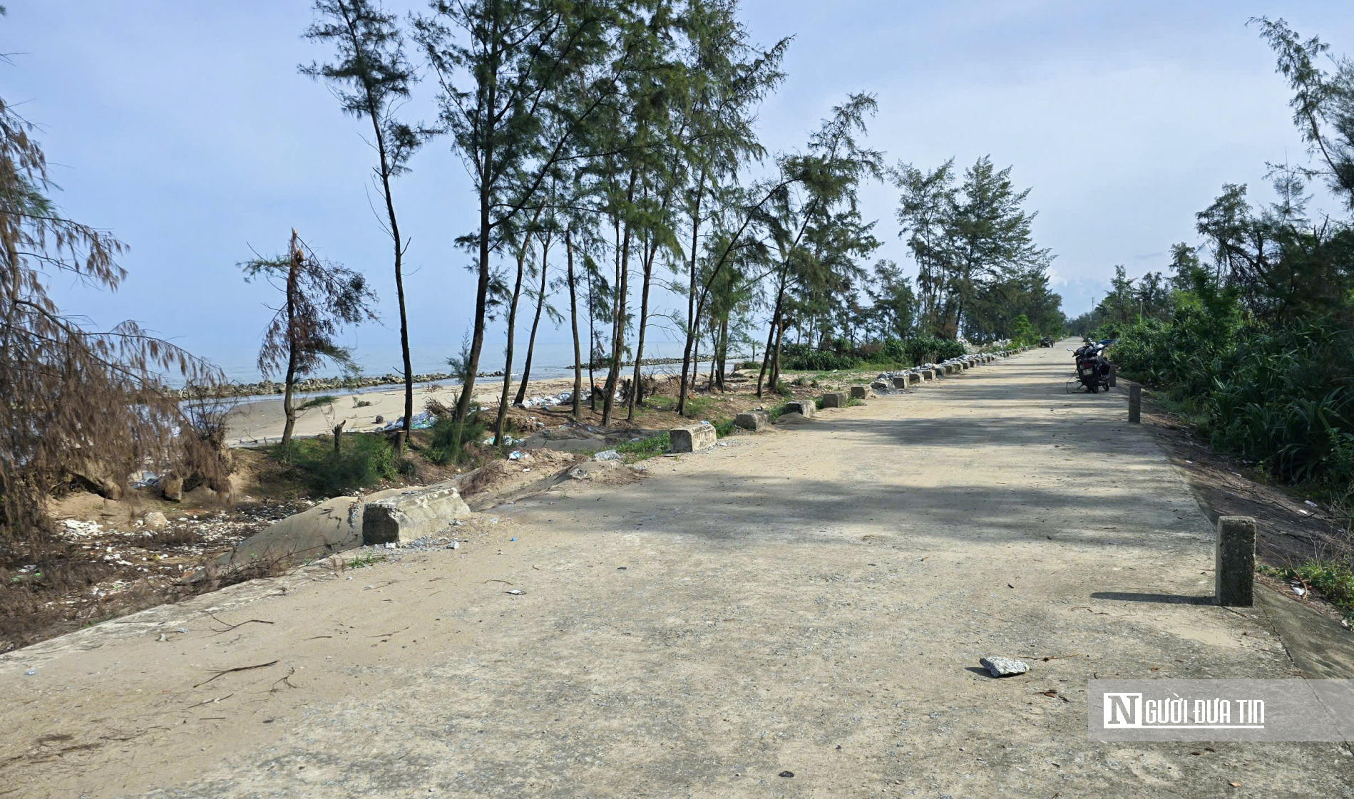 Hà Tĩnh: Nhanh chóng sửa chữa, nâng cấp công trình đê điều hư hỏng sau mưa bão- Ảnh 1.