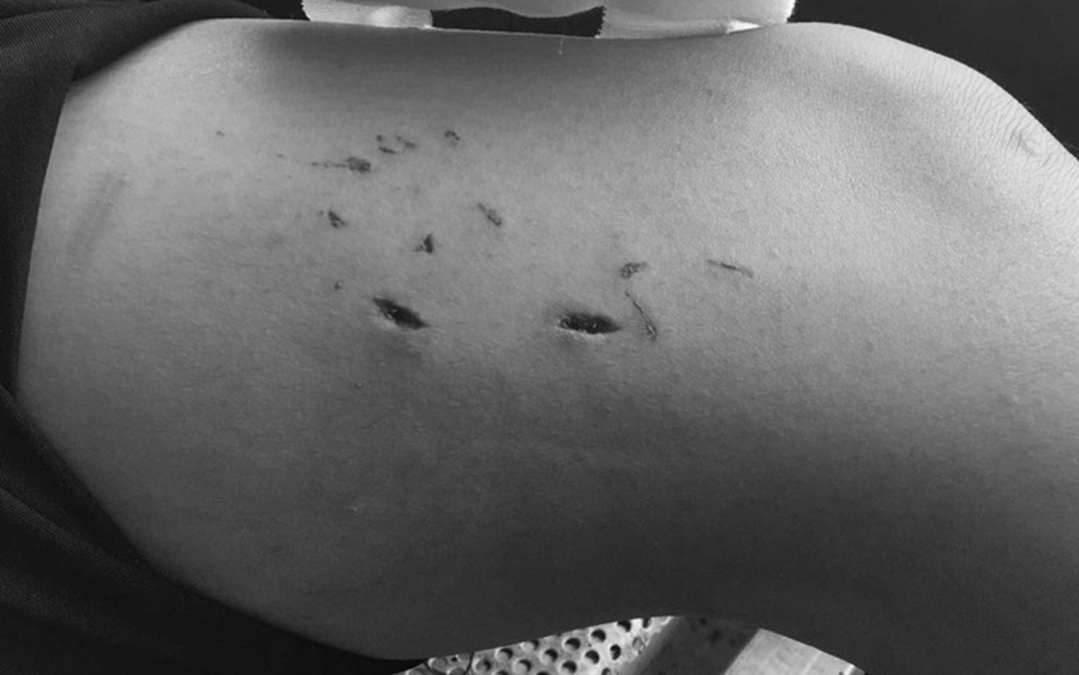 Mua chiếc gối 900 nghìn, mở ra cô gái phát hiện thứ "đáng sợ" bên trong - Ảnh 2.