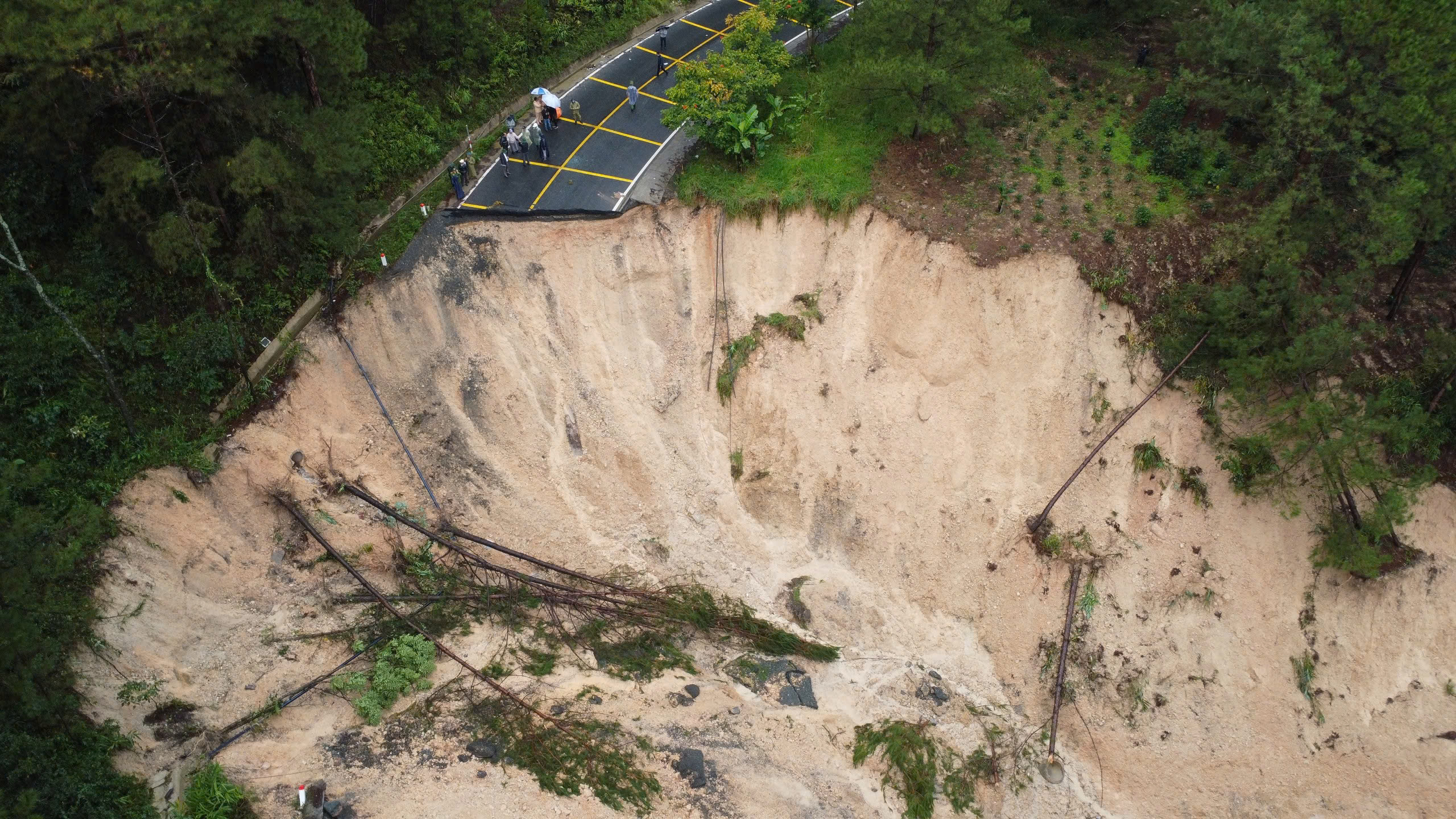 Lâm Đồng cần hơn 361 tỷ đồng xử lý hư hỏng hạ tầng giao thông sau mưa lũ- Ảnh 3.