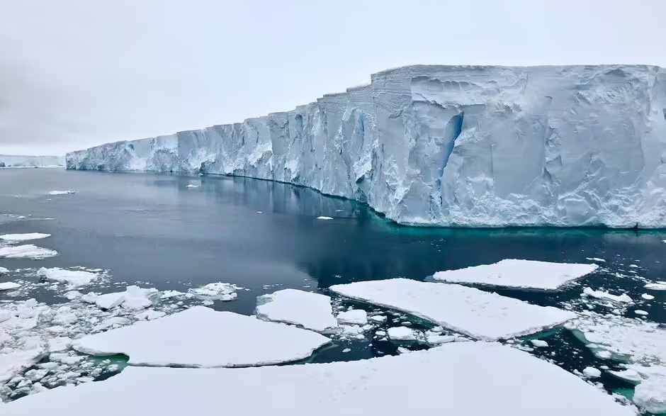 Người đàn ông vô tình sở hữu món đồ trị giá hơn 23 tỷ đồng mà không hay biết - Ảnh 2.