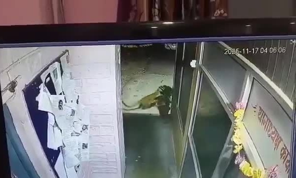 Xem lại camera giám sát tại đồn, cảnh sát thấy điều đáng sợ - Ảnh 1. Xem lại camera giám sát tại đồn, cảnh sát phát hiện điều kinh hoàng - Ảnh 1.