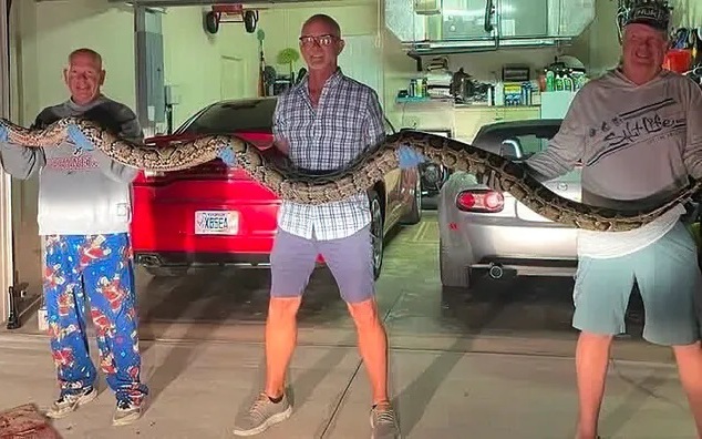 Hai người tử vong vì thi ăn nhanh - Ảnh 2.