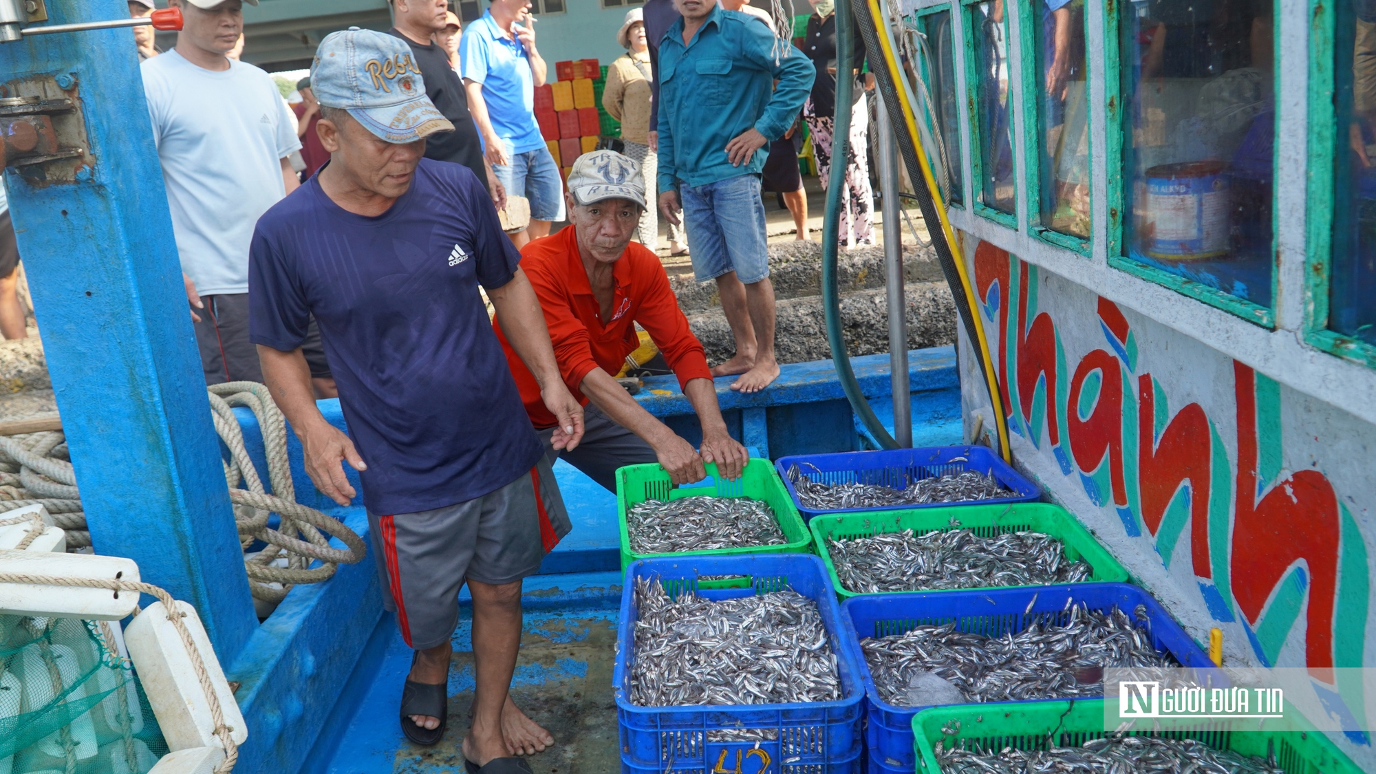 Ngăn chặn IUU từ cửa biển: Ngư dân đồng thuận, biên phòng quyết liệt - Ảnh 10.