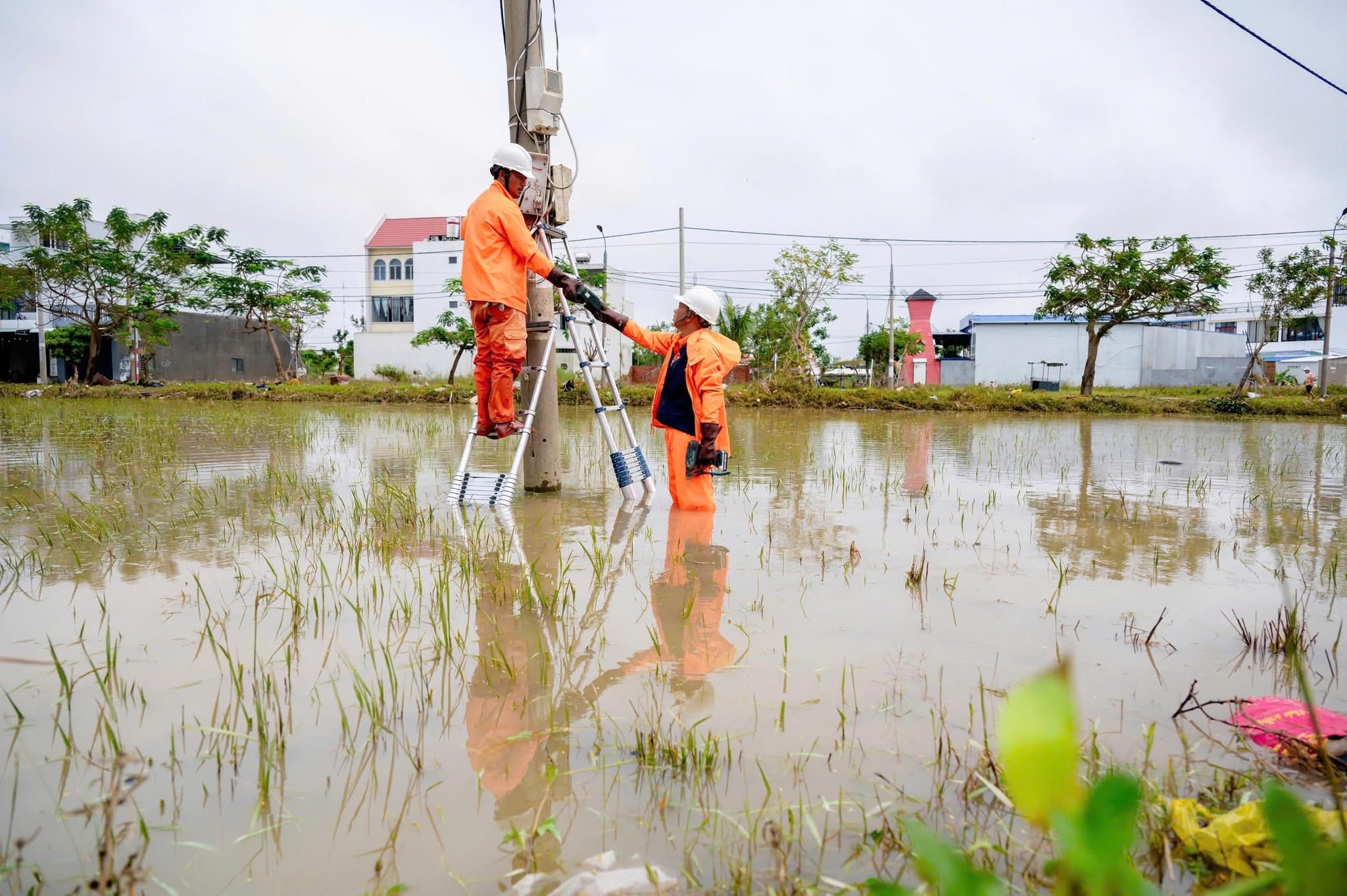 Dự kiến đóng điện hoàn toàn cho 100% hộ dân vùng lũ Đắk Lắk trong ngày 26/11- Ảnh 2.