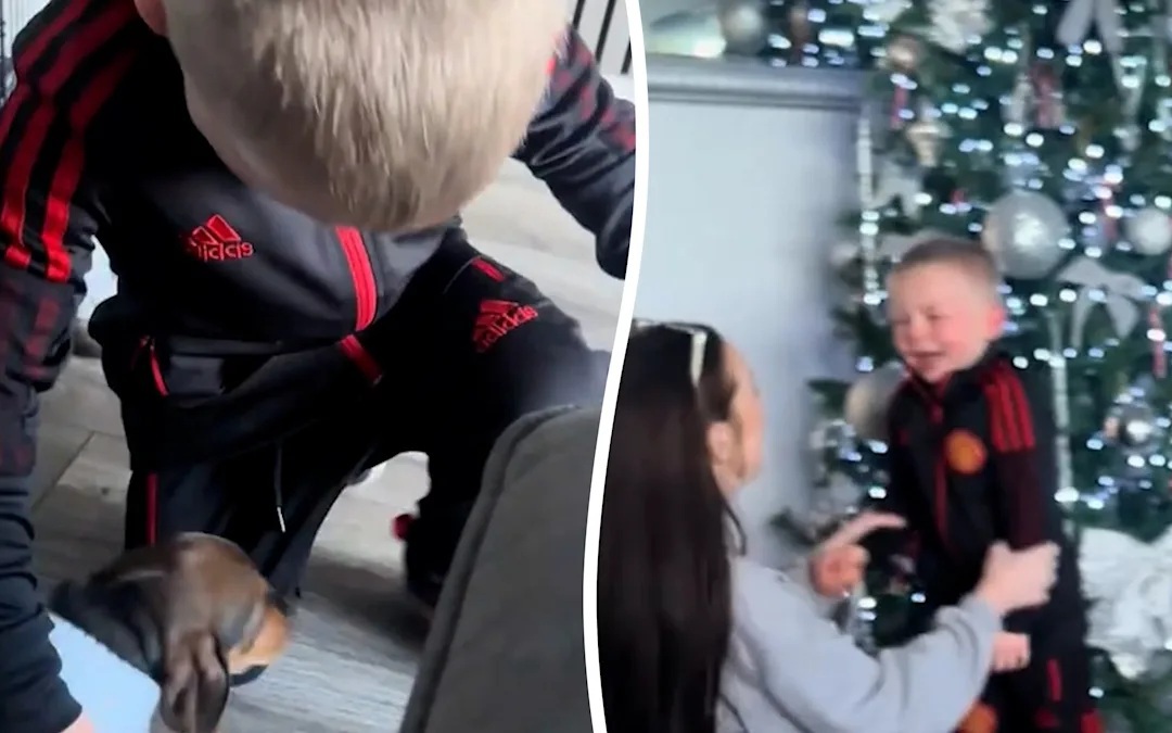 Đại bàng gây tai nạn kỳ lạ, làm vỡ kính chắn gió ô tô - Ảnh 2.