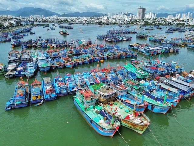 Tin bão số 15 mới nhất - Ảnh 2.