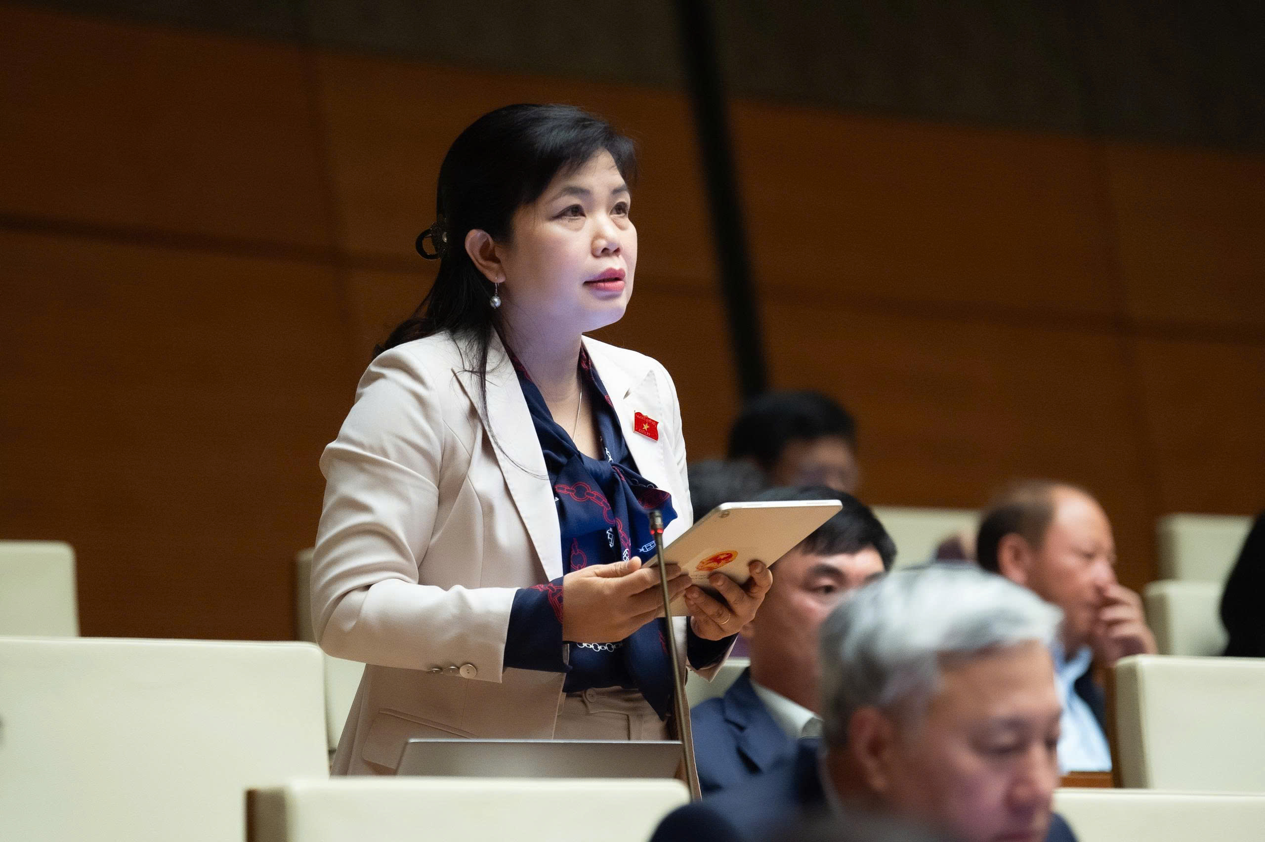 ĐBQH nêu lý do đề xuất đưa cảng Con Ong – Hòn Nét vào quy hoạch tổng thể quốc gia - Ảnh 1.