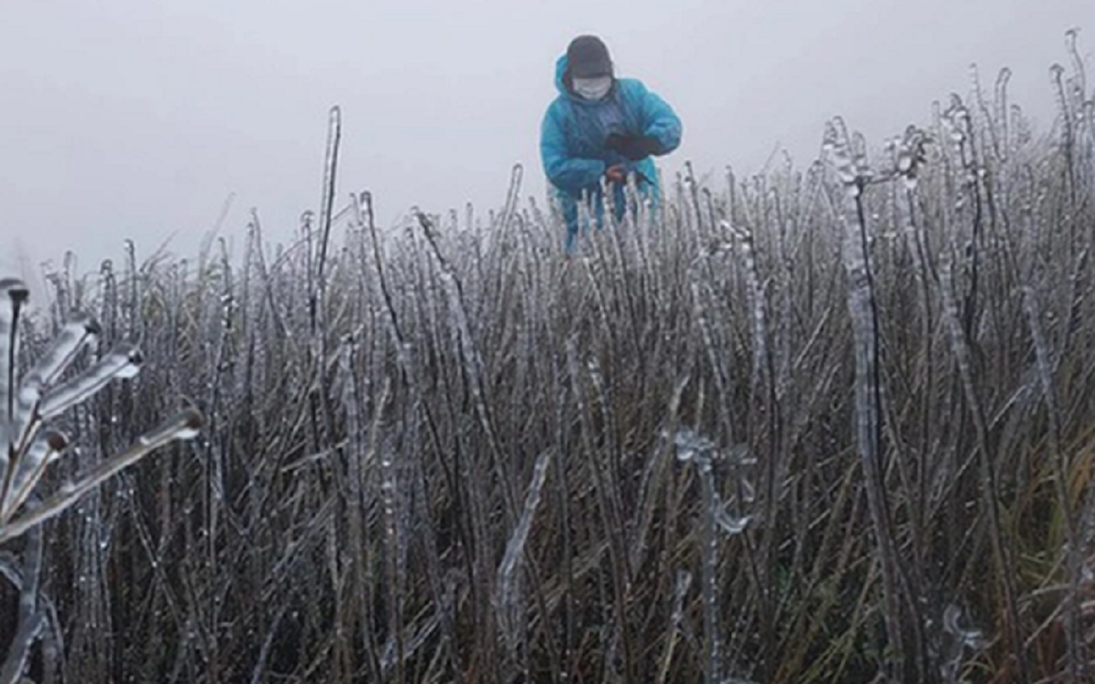 Không khí lạnh "lạ thường" liên tiếp ập về, dự báo ngày rét đậm nhất 2025- Ảnh 2.