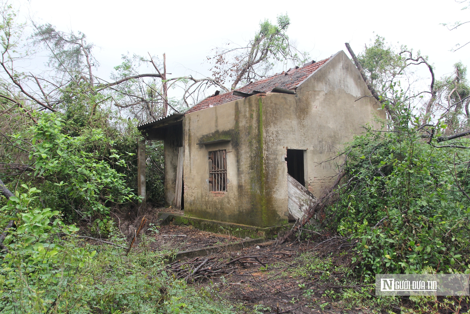 Cận cảnh hoang tàn “thiên đường sung sướng” bên bãi biển nổi tiếng Hà Tĩnh- Ảnh 2. Cận cảnh hoang tàn “thiên đường sung sướng” bên bãi biển nổi tiếng Hà Tĩnh- Ảnh 2.