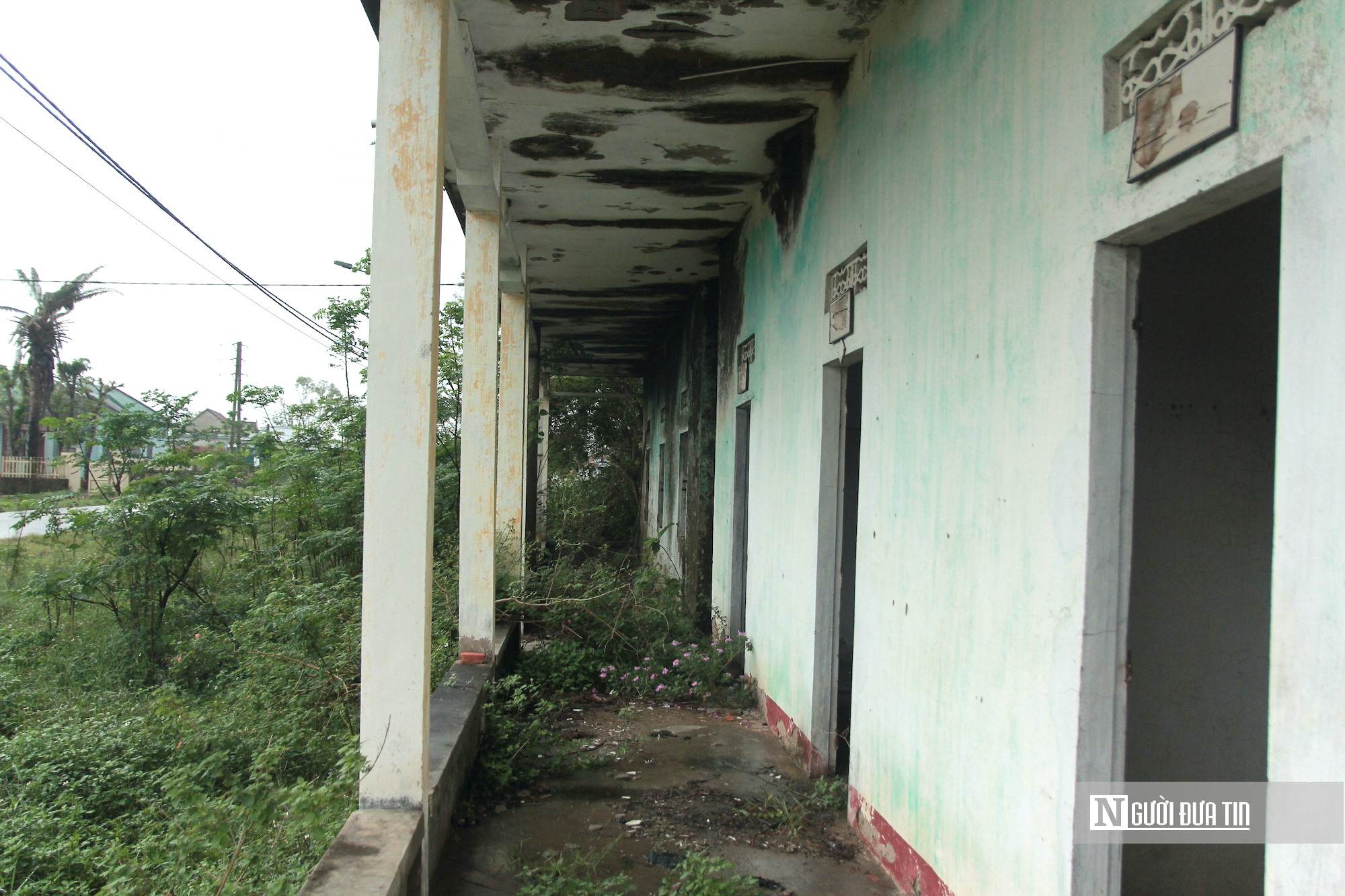 Cận cảnh hoang tàn “thiên đường sung sướng” bên bãi biển nổi tiếng Hà Tĩnh- Ảnh 5. Cận cảnh hoang tàn “thiên đường sung sướng” bên bãi biển nổi tiếng Hà Tĩnh- Ảnh 5.