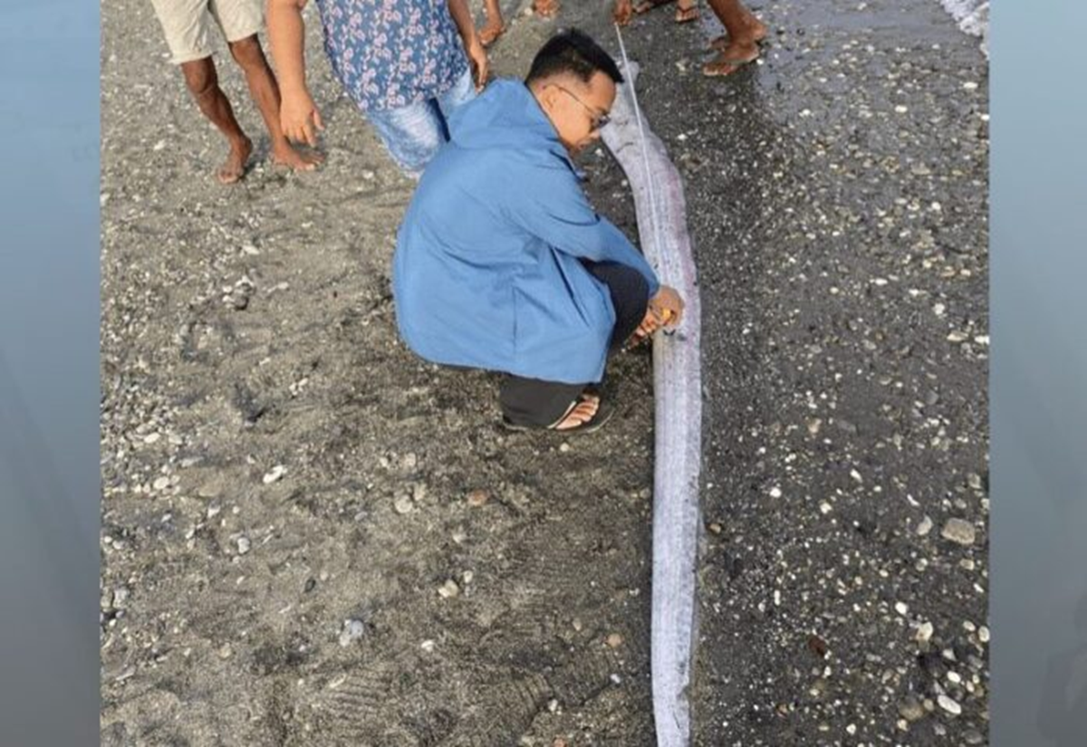 Đang đi dạo biển, người dân bỗng phát hiện cảnh tượng "nổi da gà" giữa ban ngày - Ảnh 2.