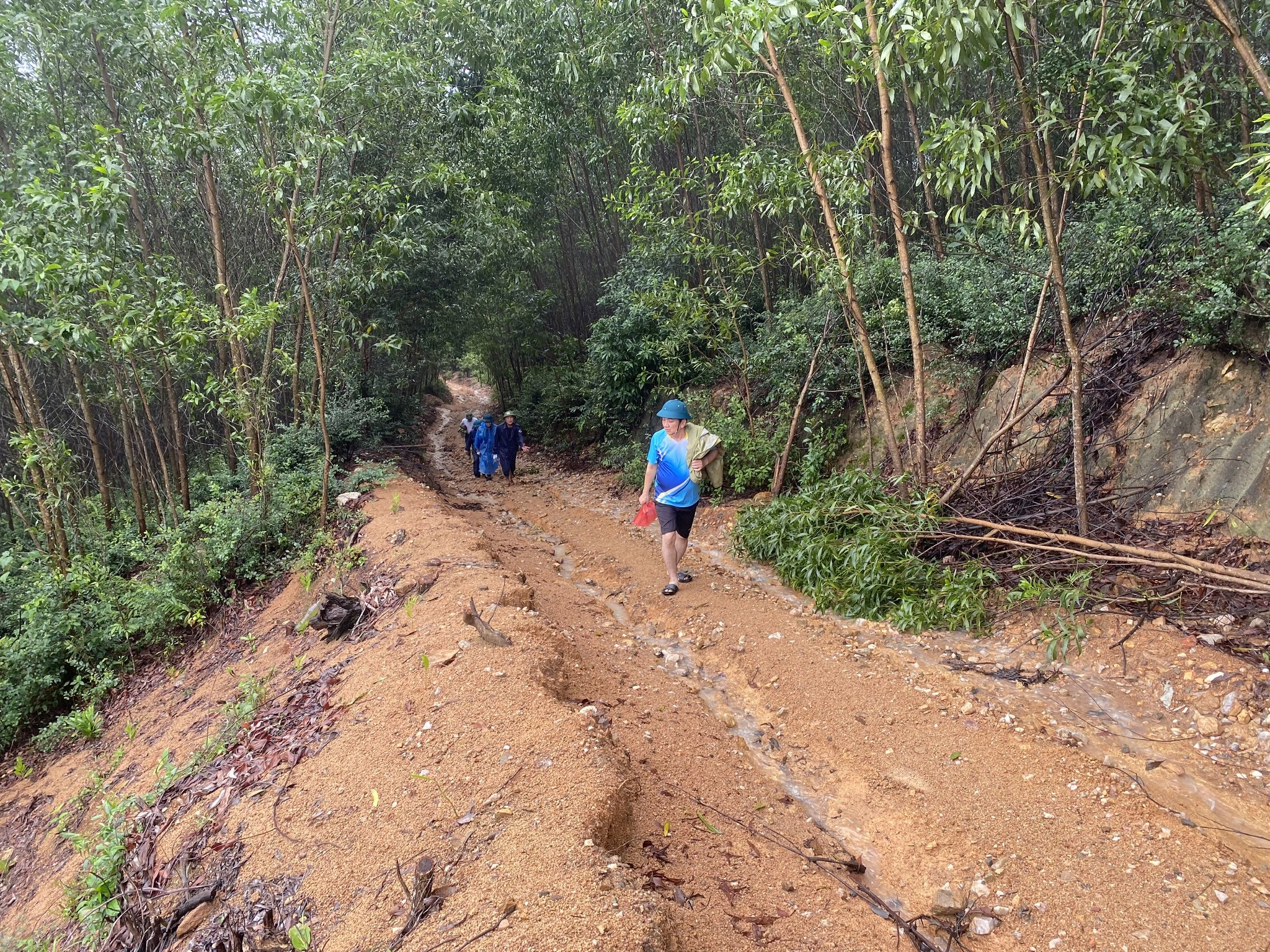 Cận cảnh ngọn núi sạt lở khiến một người chết ở Đà Nẵng- Ảnh 1.