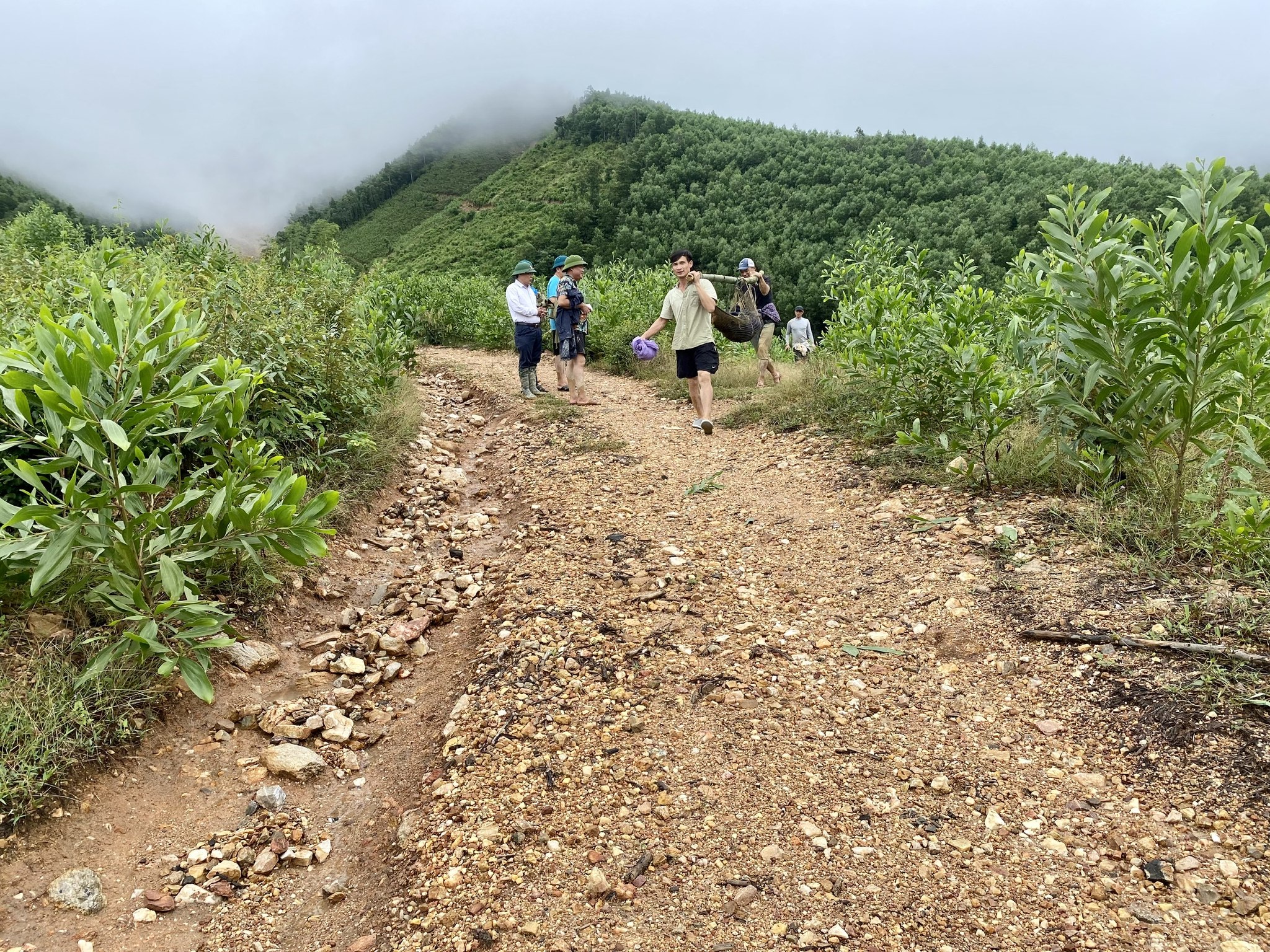 Cận cảnh ngọn núi sạt lở khiến một người chết ở Đà Nẵng- Ảnh 6.