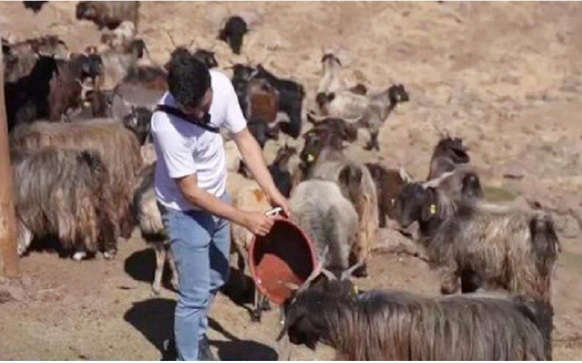 Nghề "độc lạ" đi làm như đi chơi kiếm 2 tỷ mỗi năm - Ảnh 2.