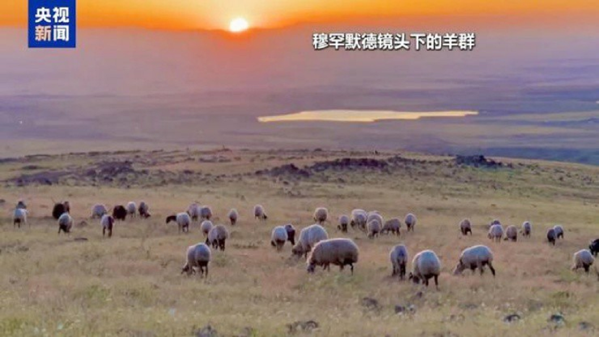 Nghề "hot" đi làm như đi chơi, lương trăm triệu/tháng vẫn thiếu người làm- Ảnh 2.