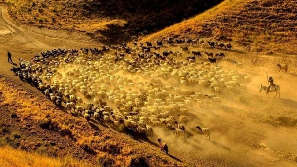 Nghề "hot" đi làm như đi chơi, lương trăm triệu/tháng vẫn thiếu người làm- Ảnh 3.