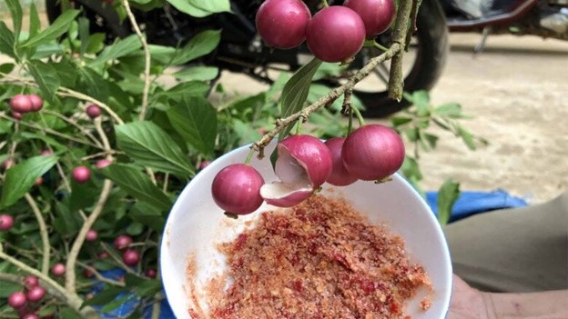 Thức quà tuổi thơ mang hương vị đặc trưng, quả đỏ au nhìn siêu hấp dẫn - Ảnh 4.