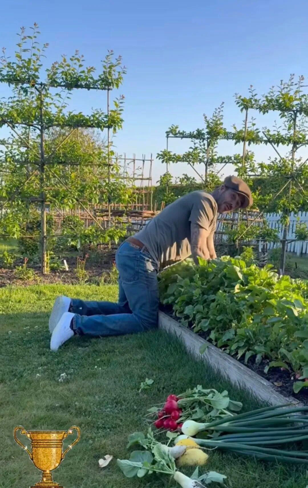 David Beckham "bỏ phố về quê", trồng rau nuôi gà, tận hưởng cuộc sống bình dị giữa điền trang triệu đô - Ảnh 14.