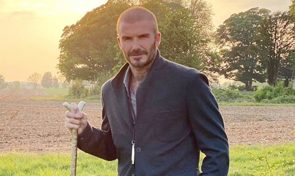 David Beckham "bỏ phố về quê", trồng rau nuôi gà, tận hưởng cuộc sống bình dị giữa điền trang triệu đô - Ảnh 7.
