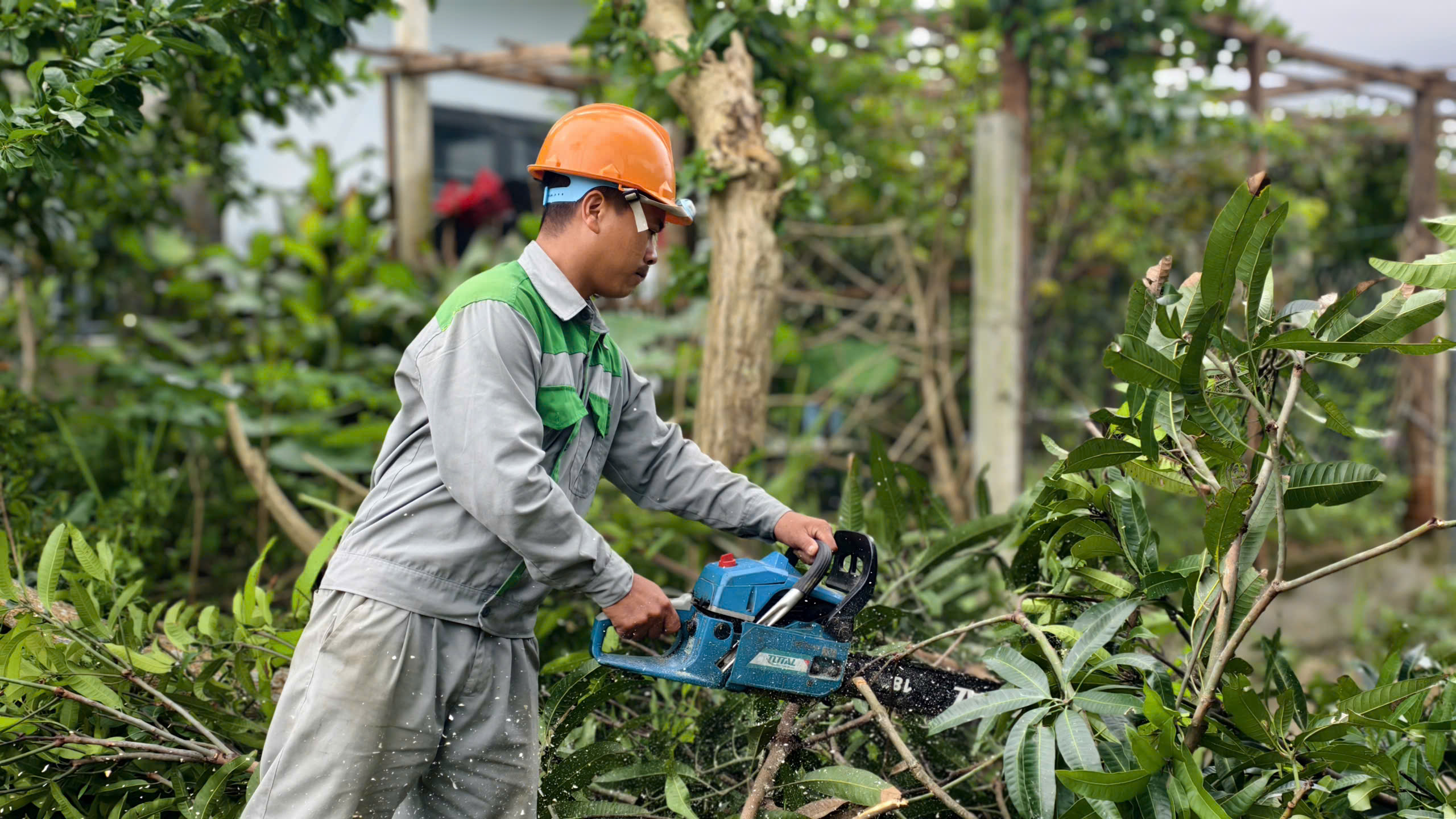 Người dân Quảng Ngãi tất bật ứng phó trước bão số 13- Ảnh 5. Người dân Quảng Ngãi tất bật ứng phó trước bão số 13- Ảnh 5.