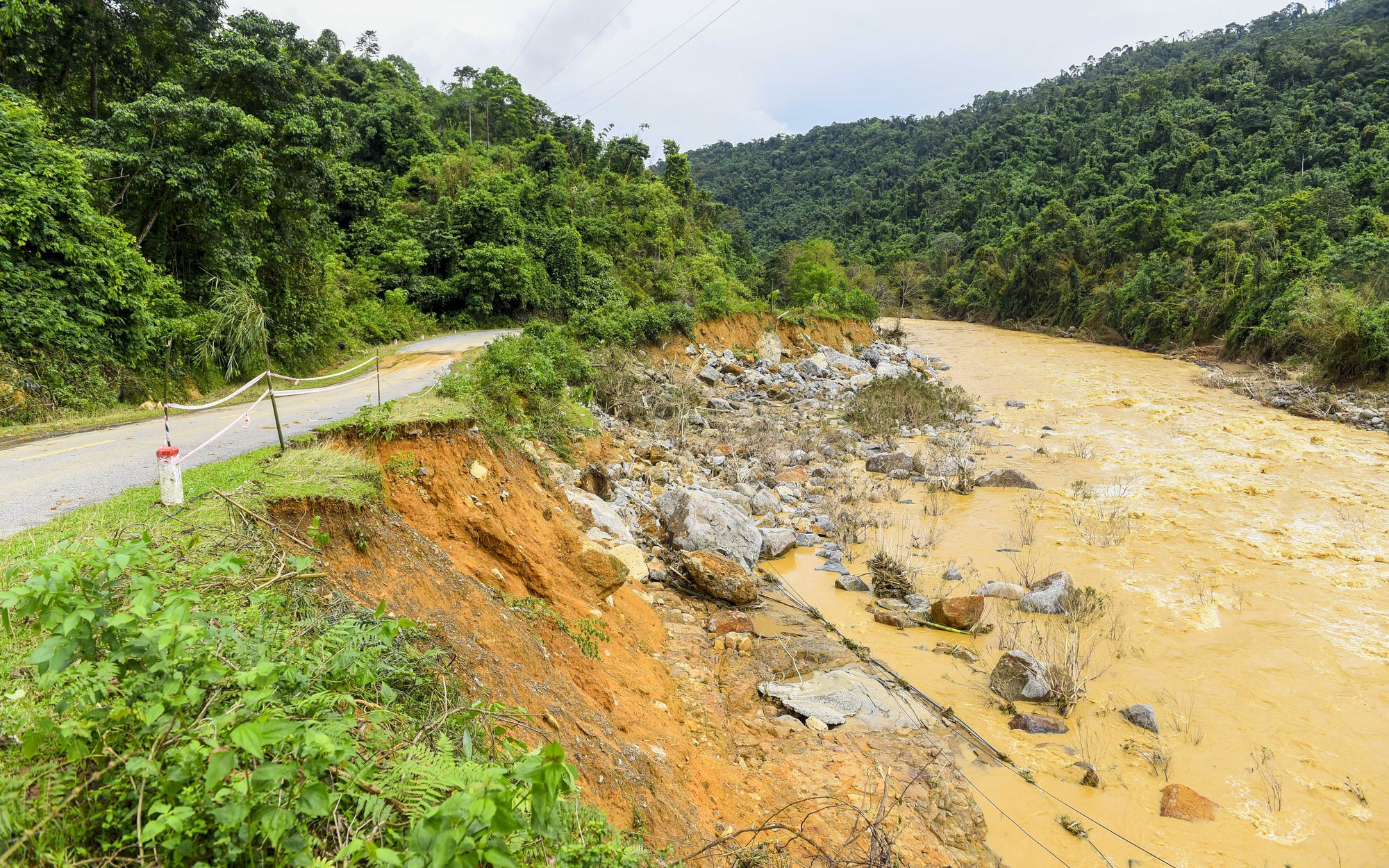 Ý tưởng khởi nghiệp của lão nông Thanh Hóa: Biến loài rau dại thành cây làm giàu- Ảnh 5.