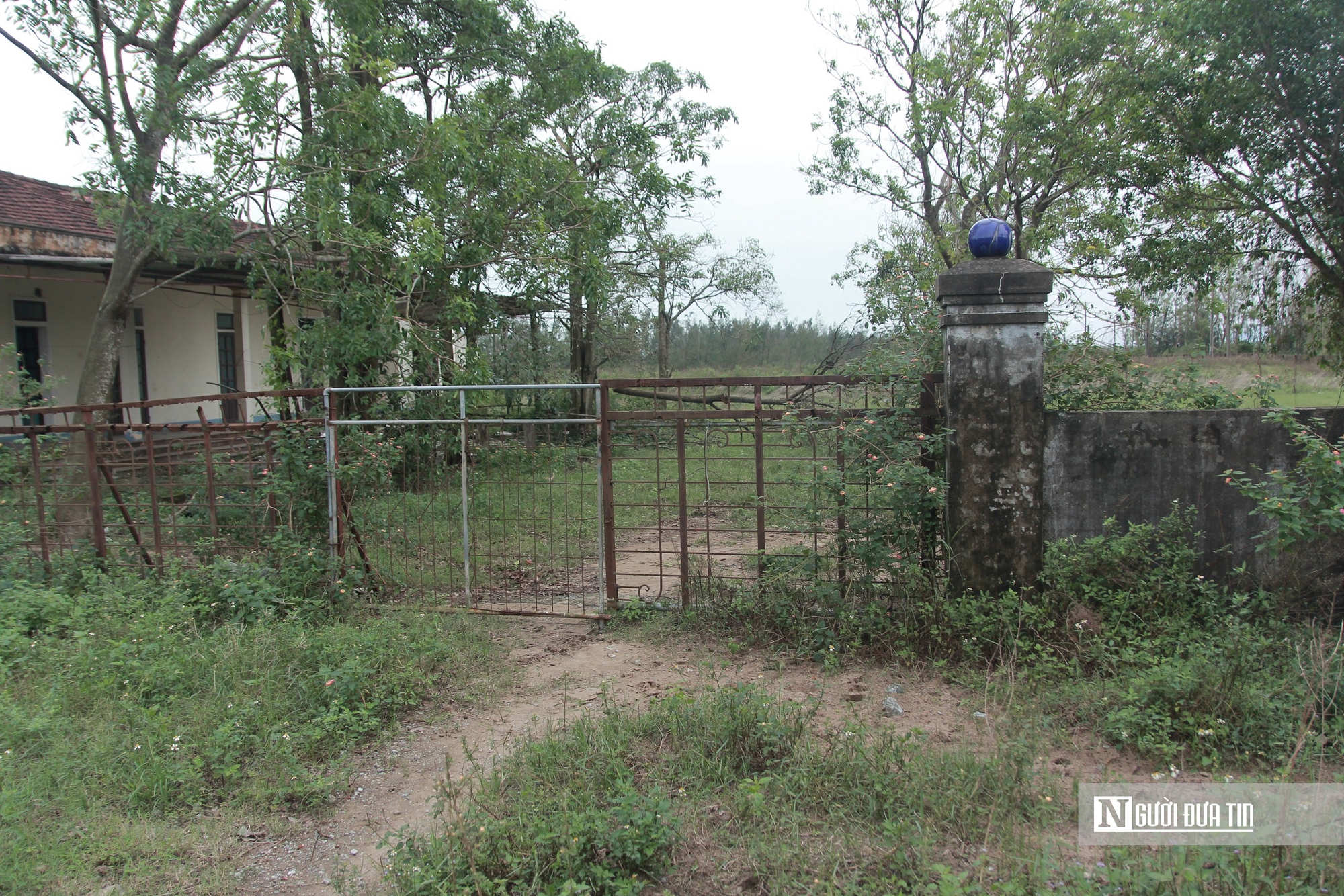 Cảnh hoang tàn trại nuôi thực nghiệm thủy sản vừa bị thu hồi ở Hà Tĩnh- Ảnh 1. Cảnh hoang tàn trại nuôi thực nghiệm thủy sản vừa bị thu hồi ở Hà Tĩnh- Ảnh 1.