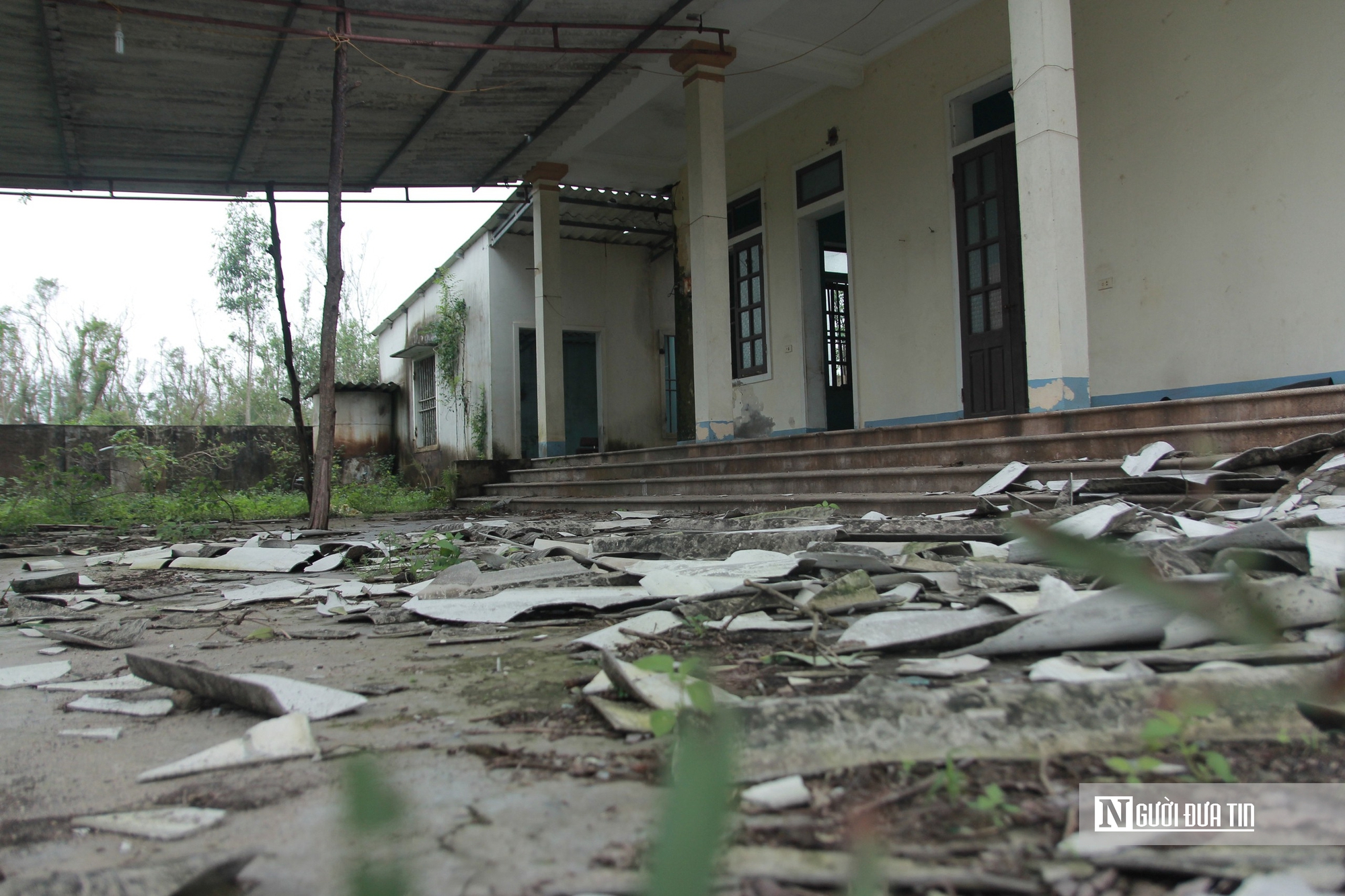 Cảnh hoang tàn trại nuôi thực nghiệm thủy sản vừa bị thu hồi ở Hà Tĩnh- Ảnh 3. Cảnh hoang tàn trại nuôi thực nghiệm thủy sản vừa bị thu hồi ở Hà Tĩnh- Ảnh 3.