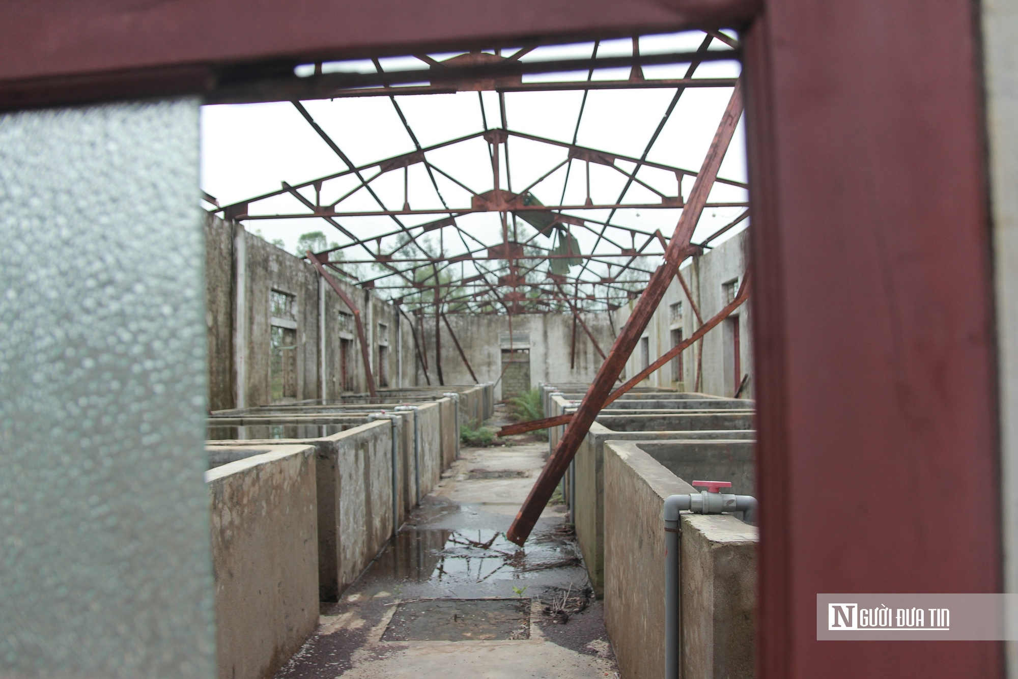 Cảnh hoang tàn trại nuôi thực nghiệm thủy sản vừa bị thu hồi ở Hà Tĩnh- Ảnh 4. Cảnh hoang tàn trại nuôi thực nghiệm thủy sản vừa bị thu hồi ở Hà Tĩnh- Ảnh 4.