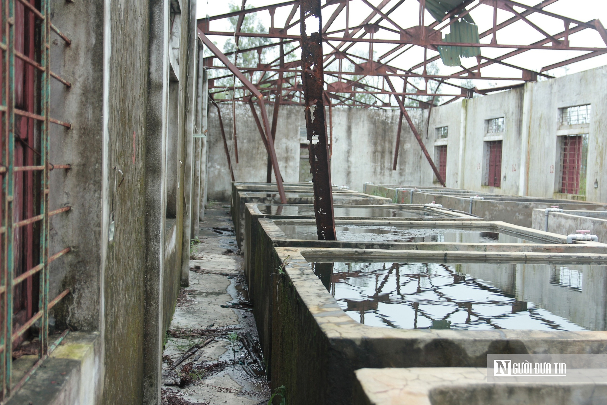 Cảnh hoang tàn trại nuôi thực nghiệm thủy sản vừa bị thu hồi ở Hà Tĩnh- Ảnh 5. Cảnh hoang tàn trại nuôi thực nghiệm thủy sản vừa bị thu hồi ở Hà Tĩnh- Ảnh 5.