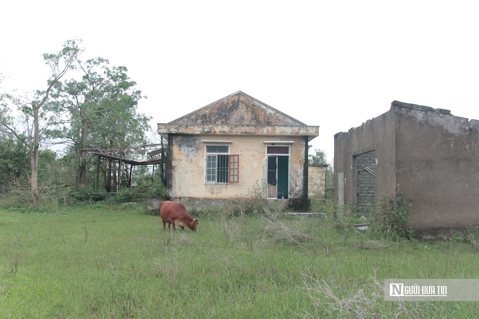 Cảnh hoang tàn trại nuôi thực nghiệm thủy sản vừa bị thu hồi ở Hà Tĩnh- Ảnh 7. Cảnh hoang tàn trại nuôi thực nghiệm thủy sản vừa bị thu hồi ở Hà Tĩnh- Ảnh 7.