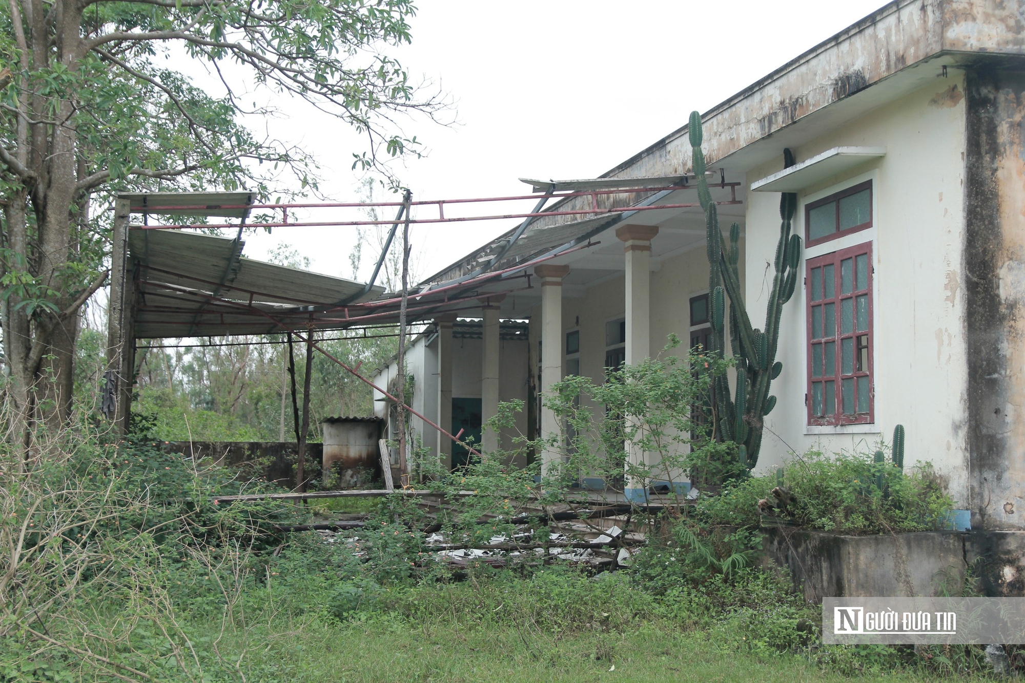 Cảnh hoang tàn trại nuôi thực nghiệm thủy sản vừa bị thu hồi ở Hà Tĩnh- Ảnh 8. Cảnh hoang tàn trại nuôi thực nghiệm thủy sản vừa bị thu hồi ở Hà Tĩnh- Ảnh 8.