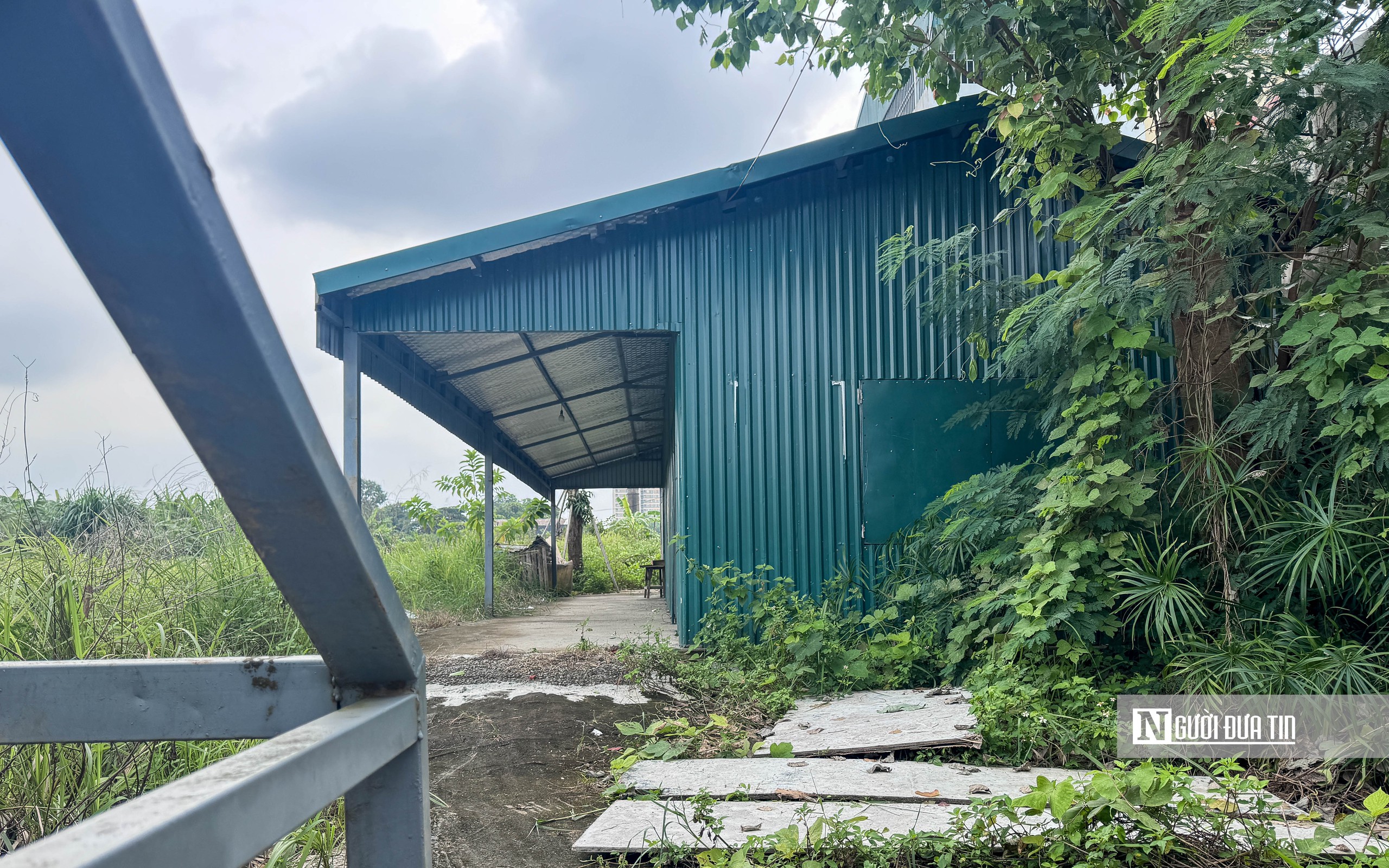 Toàn cảnh khu đất xây nhà ở xã hội tại ngoại thành Hà Nội - Ảnh 9.