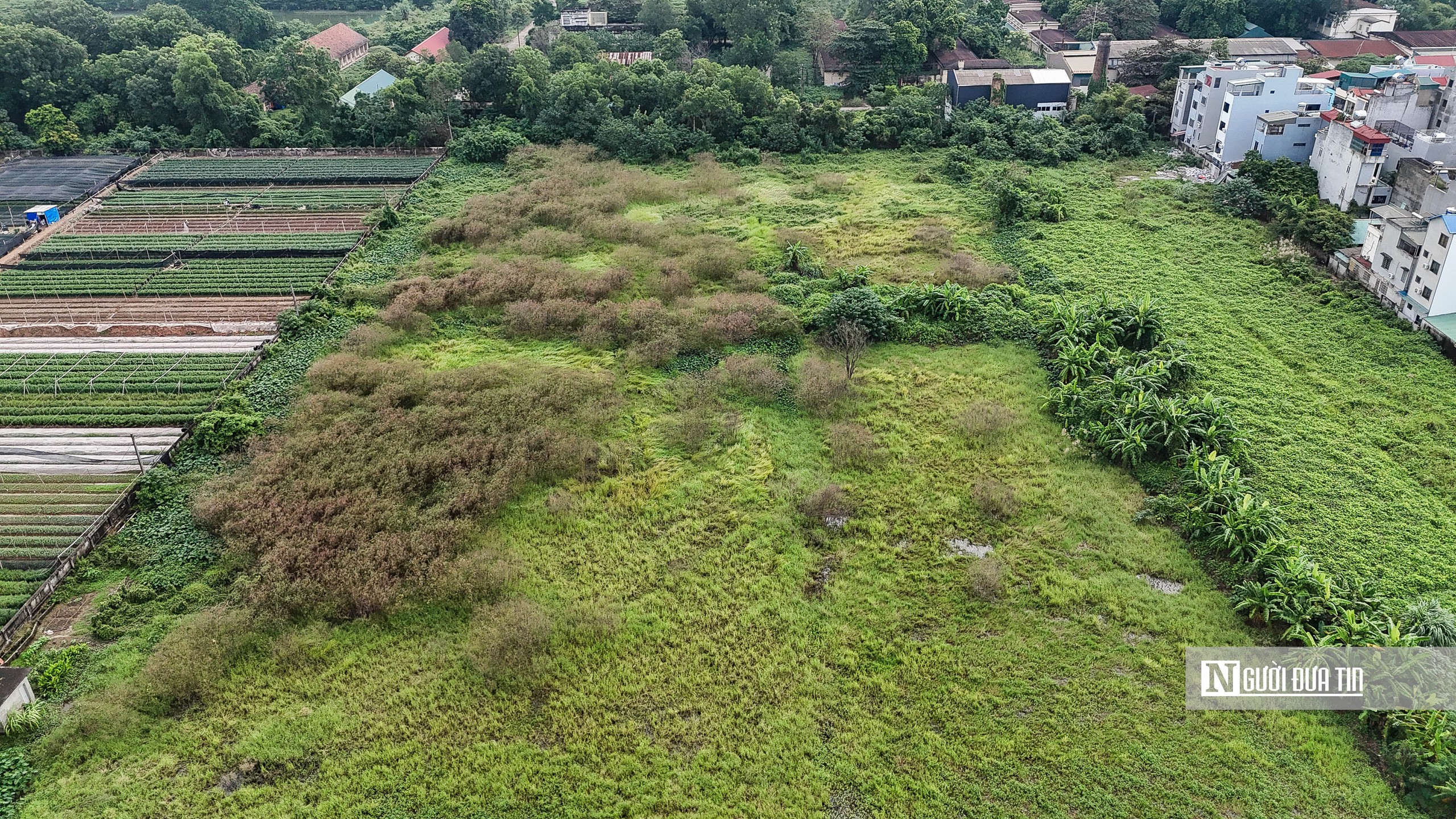 Toàn cảnh khu đất xây nhà ở xã hội tại ngoại thành Hà Nội - Ảnh 12.