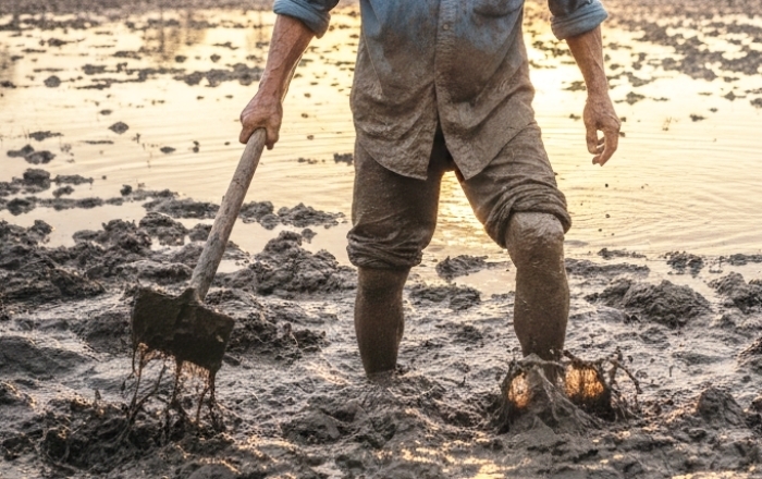 Người đàn ông suýt mất mạng vì vi khuẩn hiếm gặp trong bùn đất sau lũ - Ảnh 1.