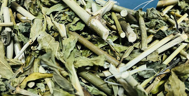 Loại cây dại trước làm hàng rào, nay thành đặc sản nức tiếng vừa ngon vừa tốt cho sức khỏe - Ảnh 5.