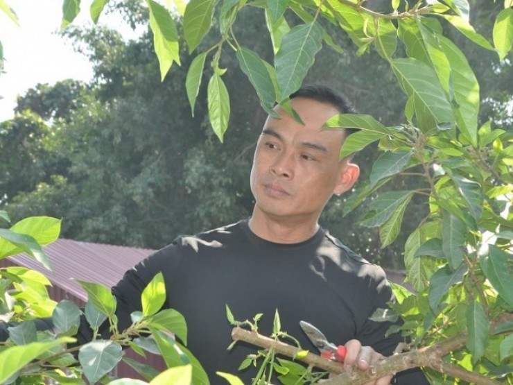 Cây cảnh "u cục" từng có người trả 2 tỷ đồng nhưng chủ vẫn "chưa ưng bán" - Ảnh 14.