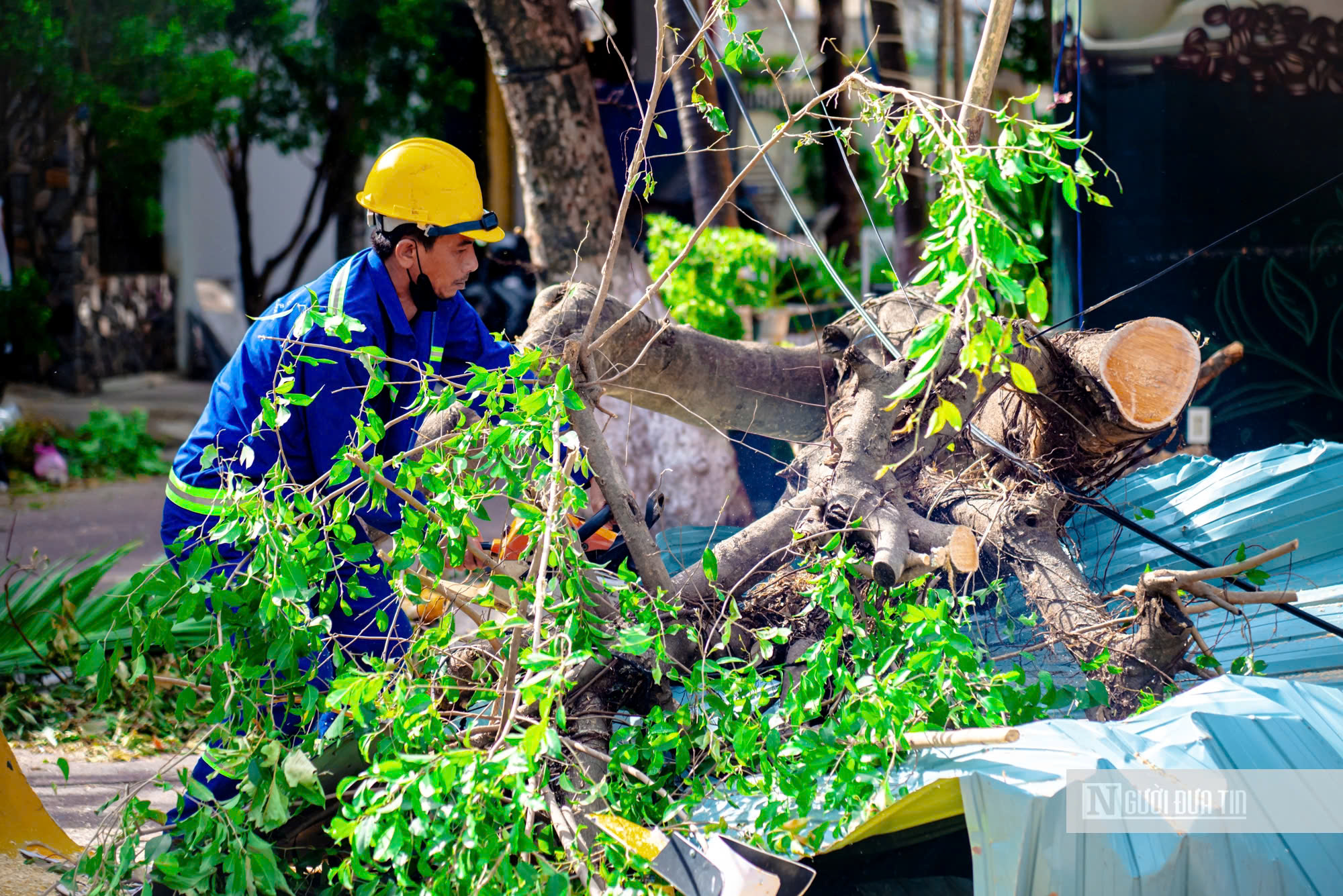 Gia Lai: Doanh nghiệp mất trắng hàng tỷ đồng sau bão số 13, chủ nhà hàng "không biết nên bắt đầu từ đâu" - Ảnh 6.