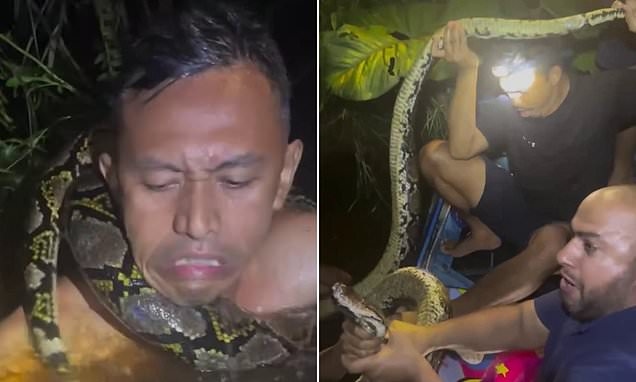 Người đàn ông bị trăn dài 6 mét siết cổ trên sông - Ảnh 1.