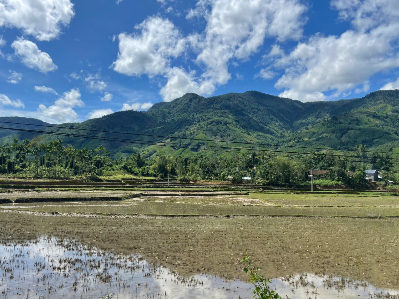 Sạt lở đe dọa người dân, đường vào làng du lịch Quảng Ngãi bị vùi lấp- Ảnh 1.