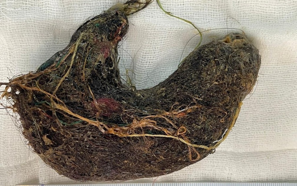 Chàng trai chân trần liều mình lao vào đám cháy để cứu 2 cụ già thoát cửa tử - Ảnh 2.