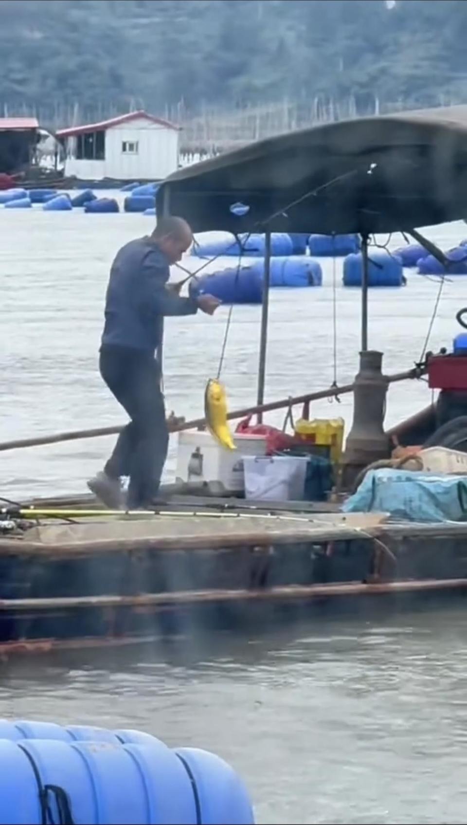 Người đàn ông câu được con cá vàng trị giá 74 triệu đồng - Ảnh 1.