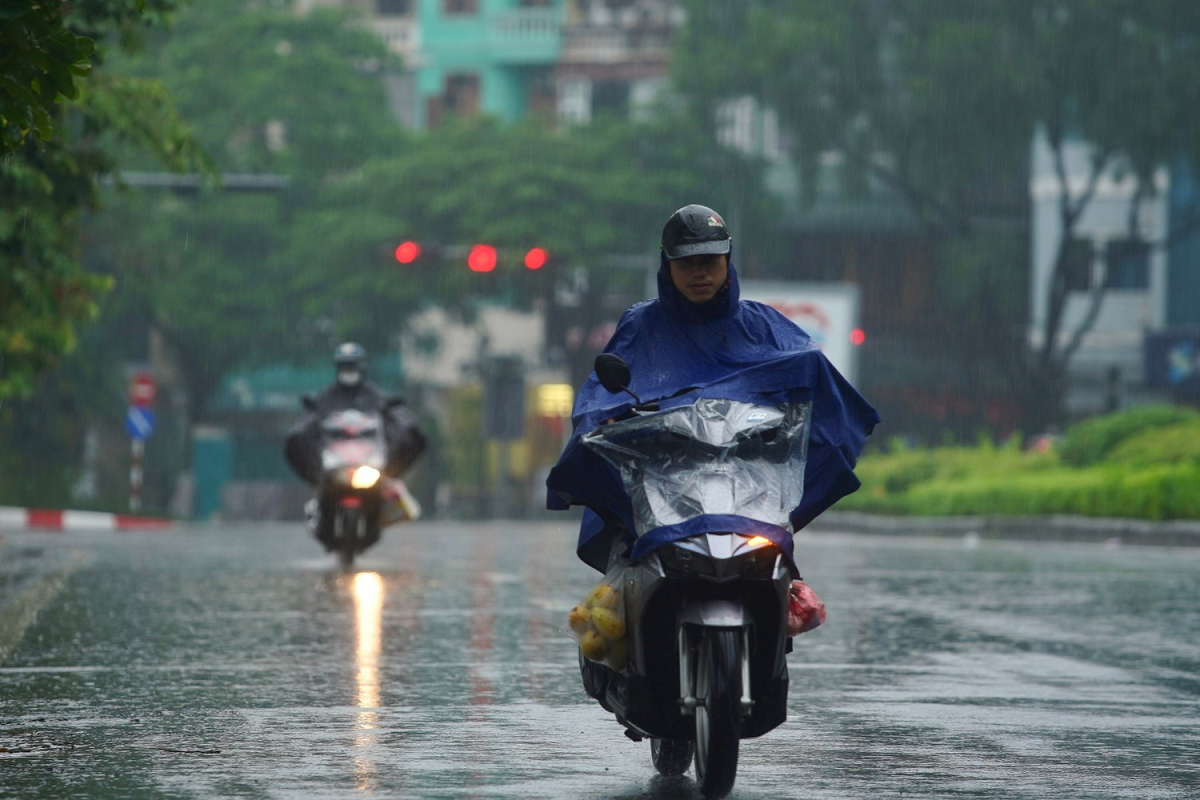 Dự báo thời tiết 10/11: Miền Bắc nồm ẩm "lạ thường" tới khi nào?- Ảnh 1.