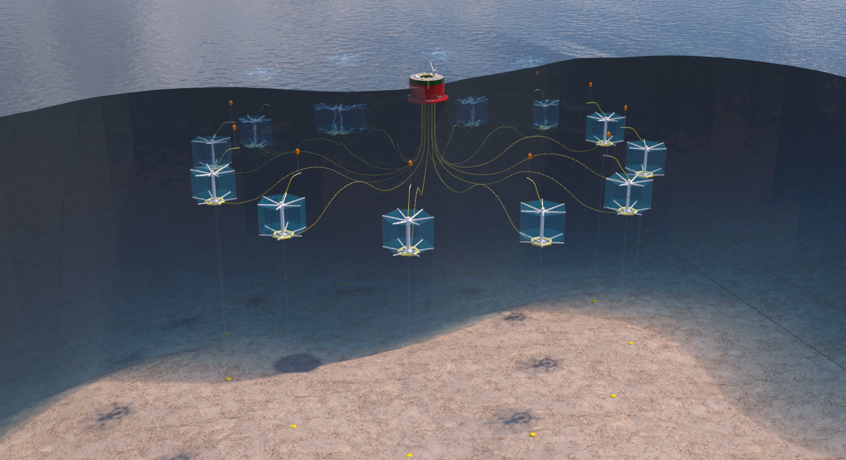 Biến trang trại điện gió thành trang trại cá hồi- Ảnh 1.