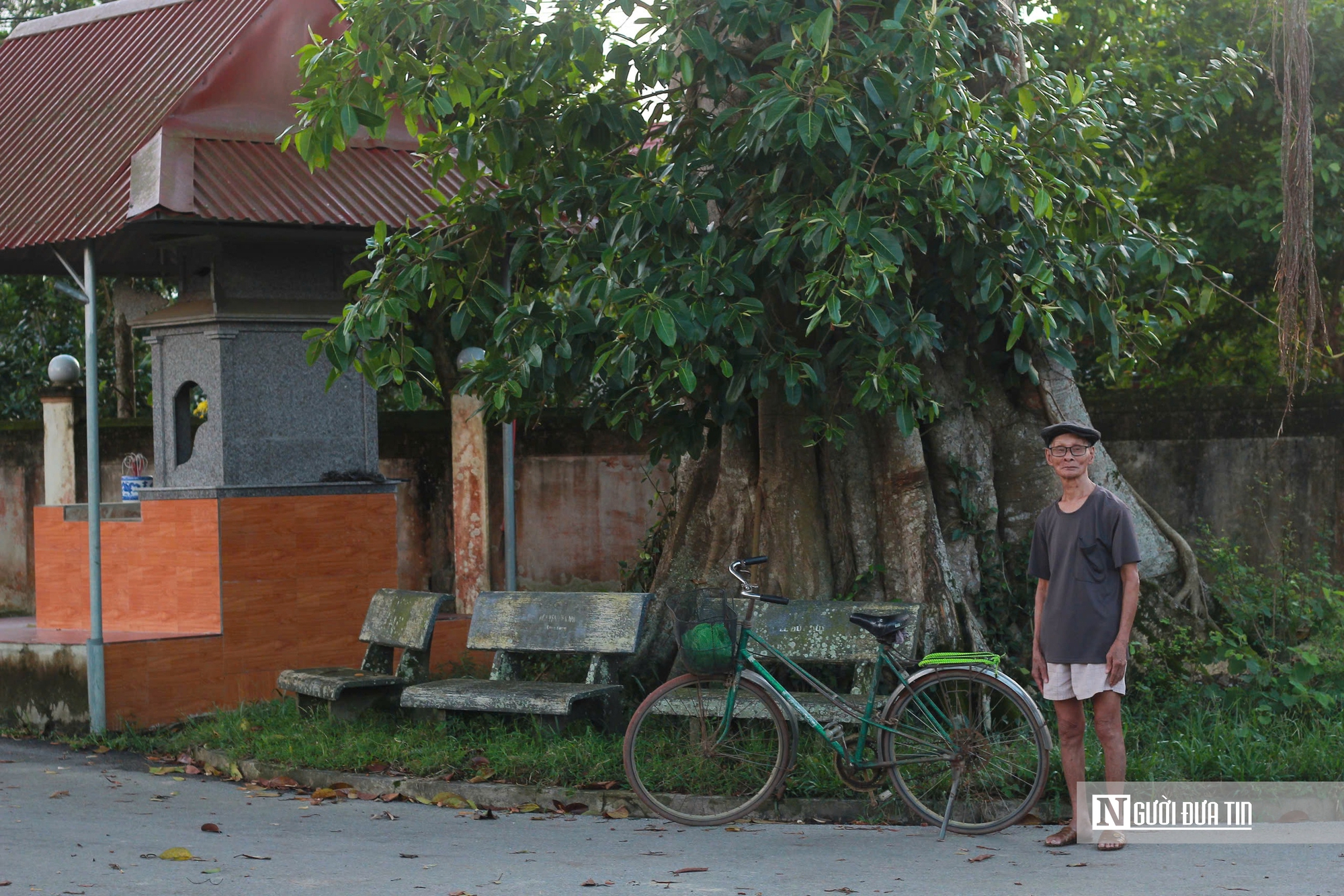 Chiêm ngưỡng “cổng làng tự nhiên” từ cây đa hàng trăm năm tuổi ở Hà Tĩnh- Ảnh 4.