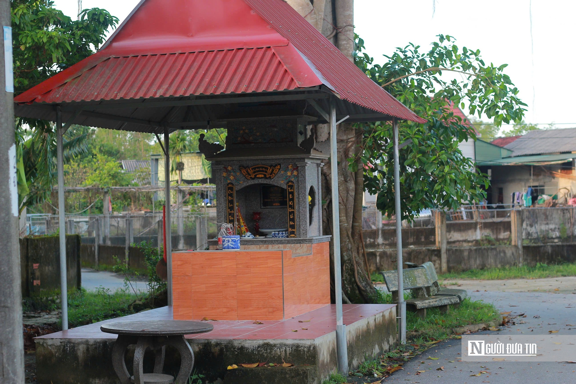 Chiêm ngưỡng “cổng làng tự nhiên” từ cây đa hàng trăm năm tuổi ở Hà Tĩnh- Ảnh 5.