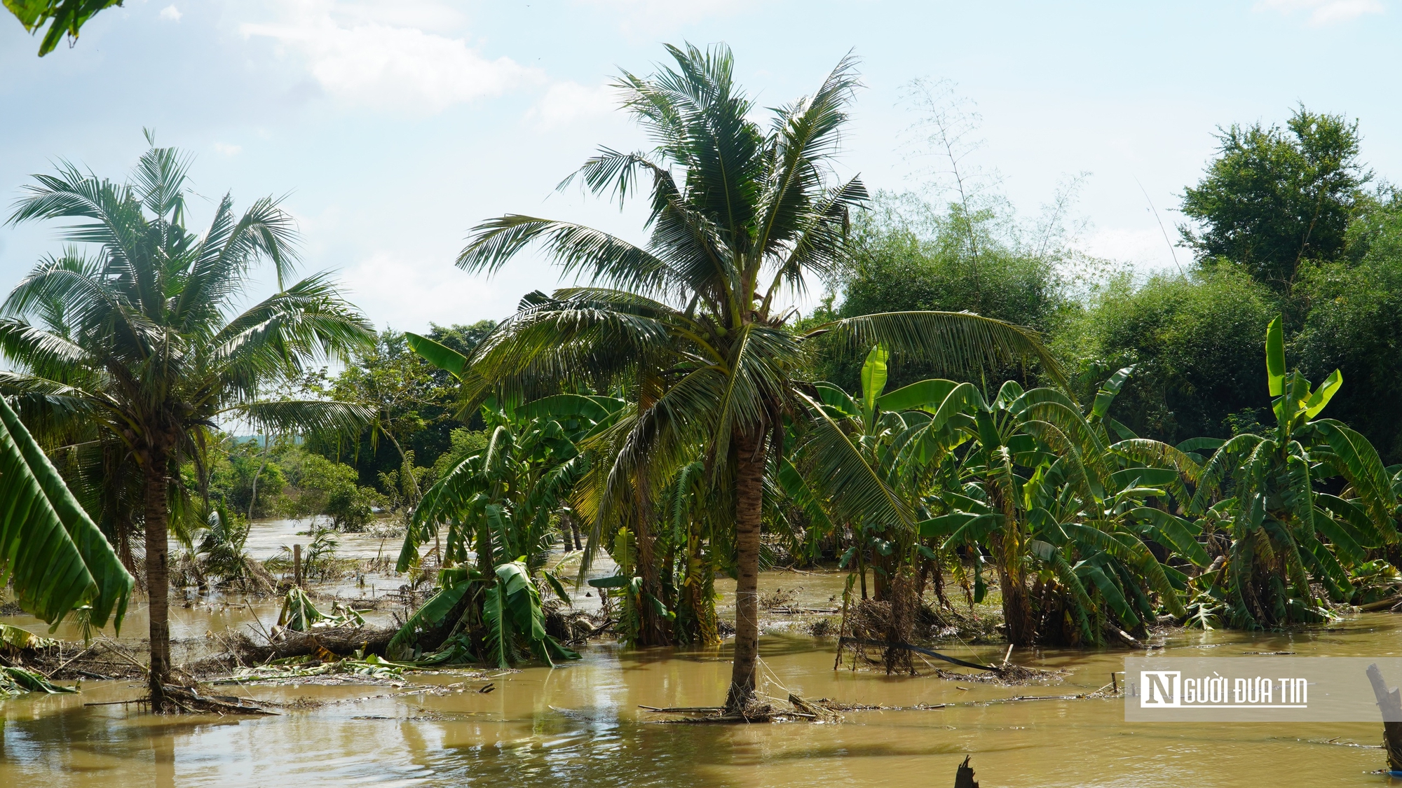 Người cao tuổi ở Lâm Đồng: "Cả đời tôi chưa bao giờ thấy ngập lụt như thế này"- Ảnh 3. Người cao tuổi ở Lâm Đồng: "Cả đời tôi chưa bao giờ thấy ngập lụt như thế này"- Ảnh 3.